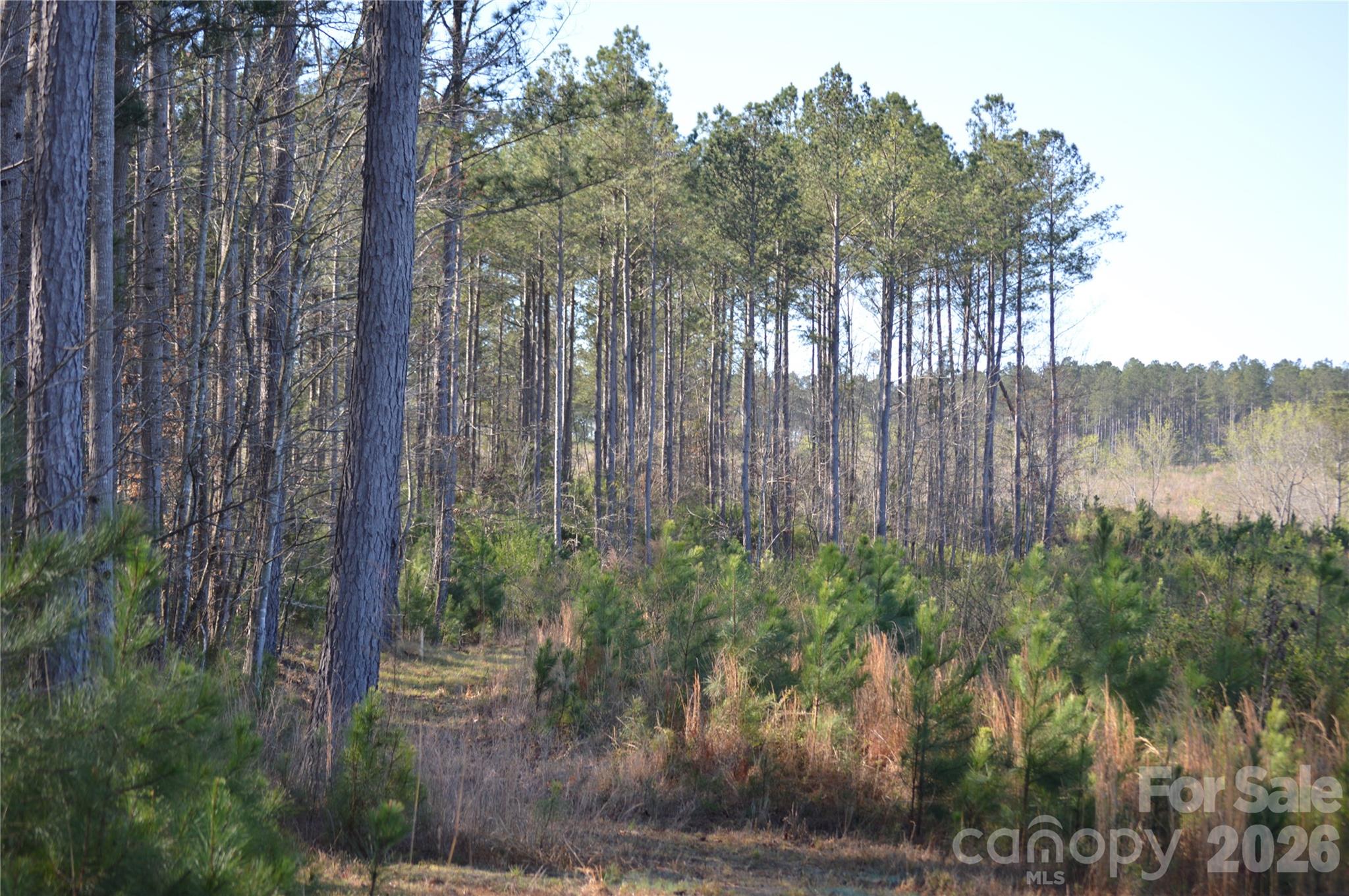 00 Peter Hawk Creek Road 12 Property Photo 12