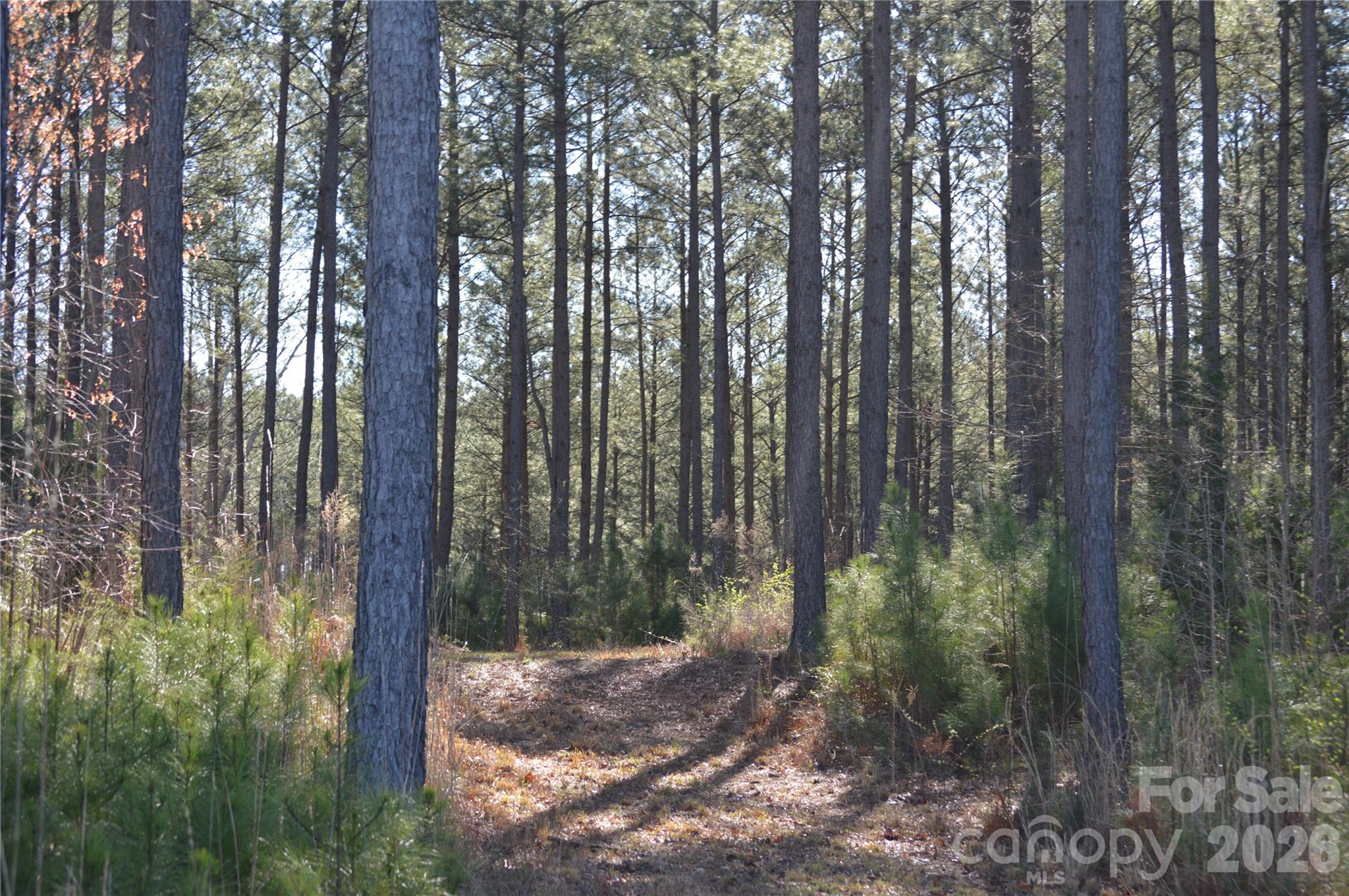 00 Peter Hawk Creek Road 12 Property Photo 13