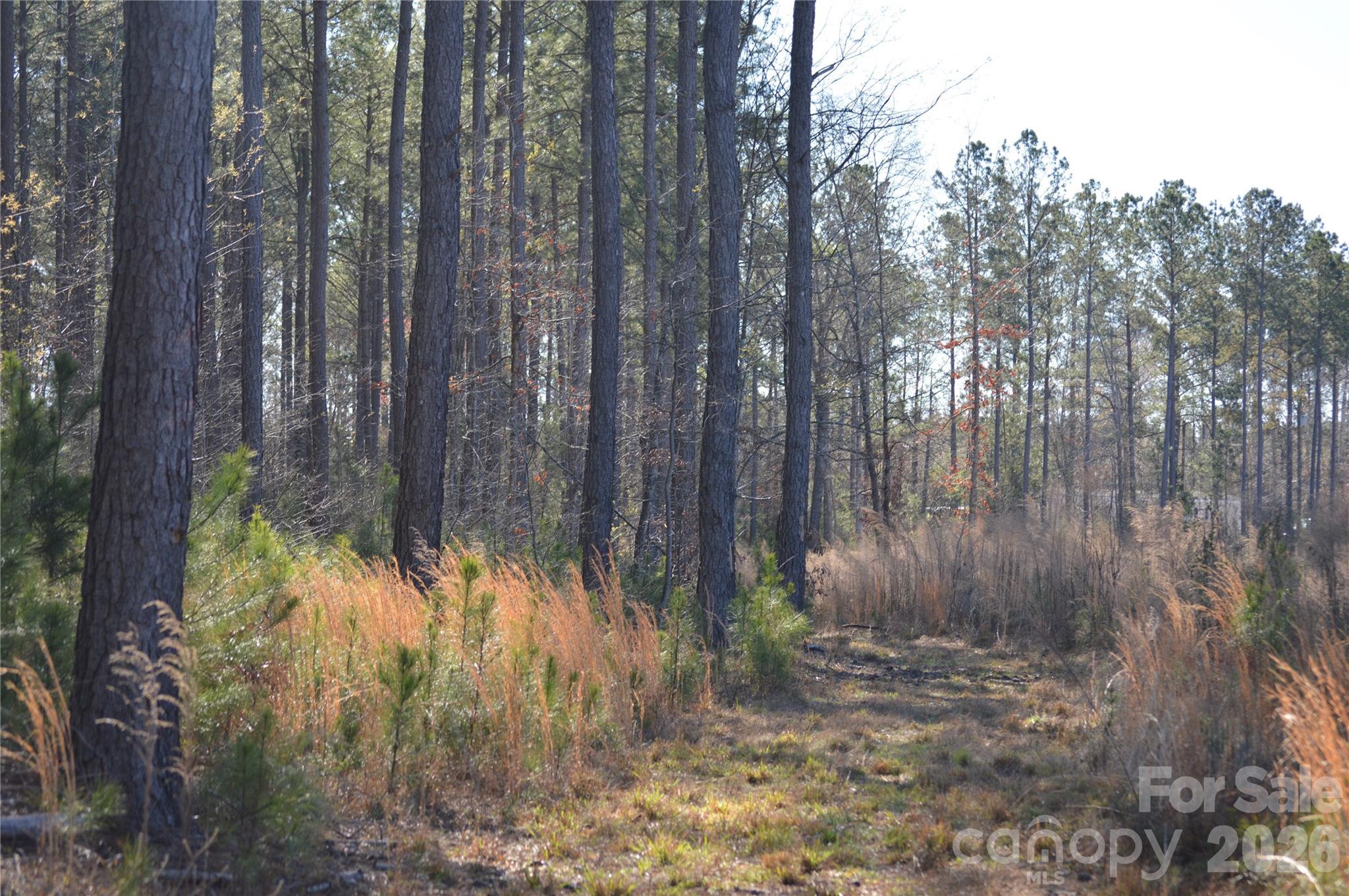 00 Peter Hawk Creek Road 12 Property Photo 15