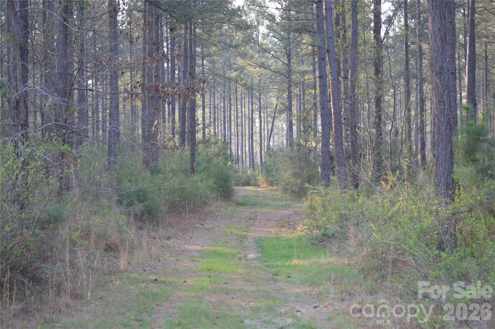 00 Peter Hawk Creek Road 13 Property Photo 1