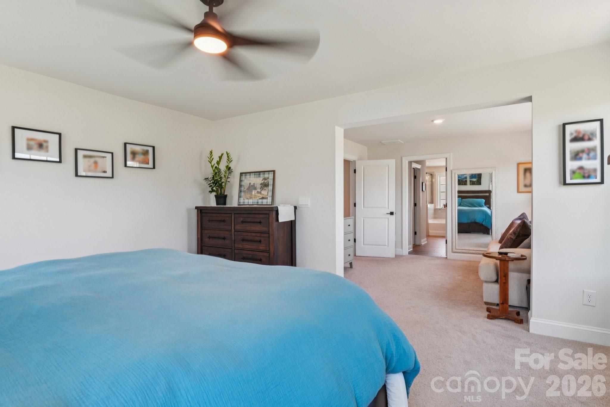 4138 Wild Olive Drive Property Photo 19