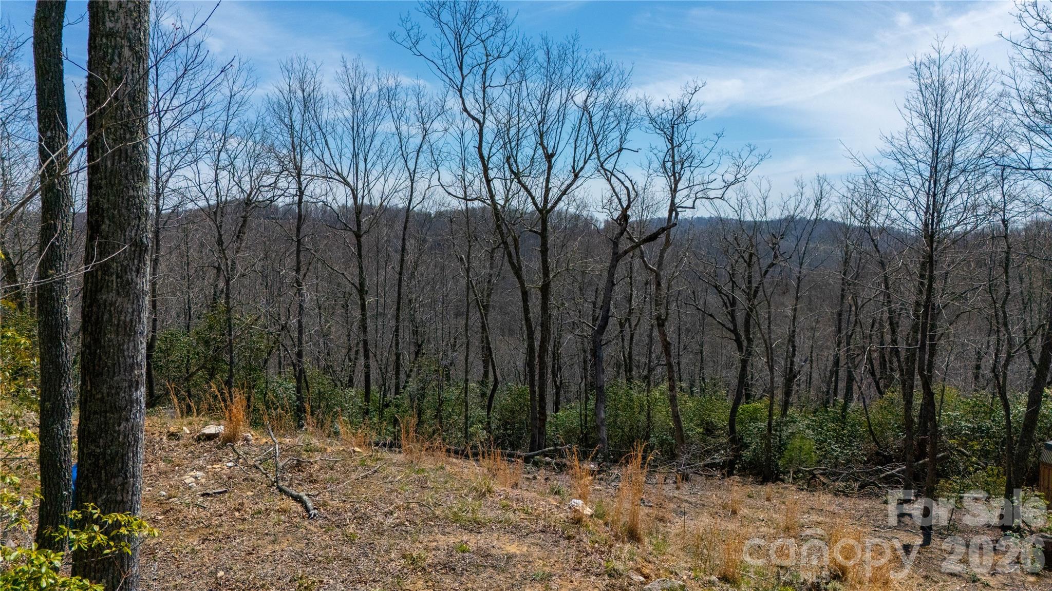 000 Walker Ridge Property Photo 4