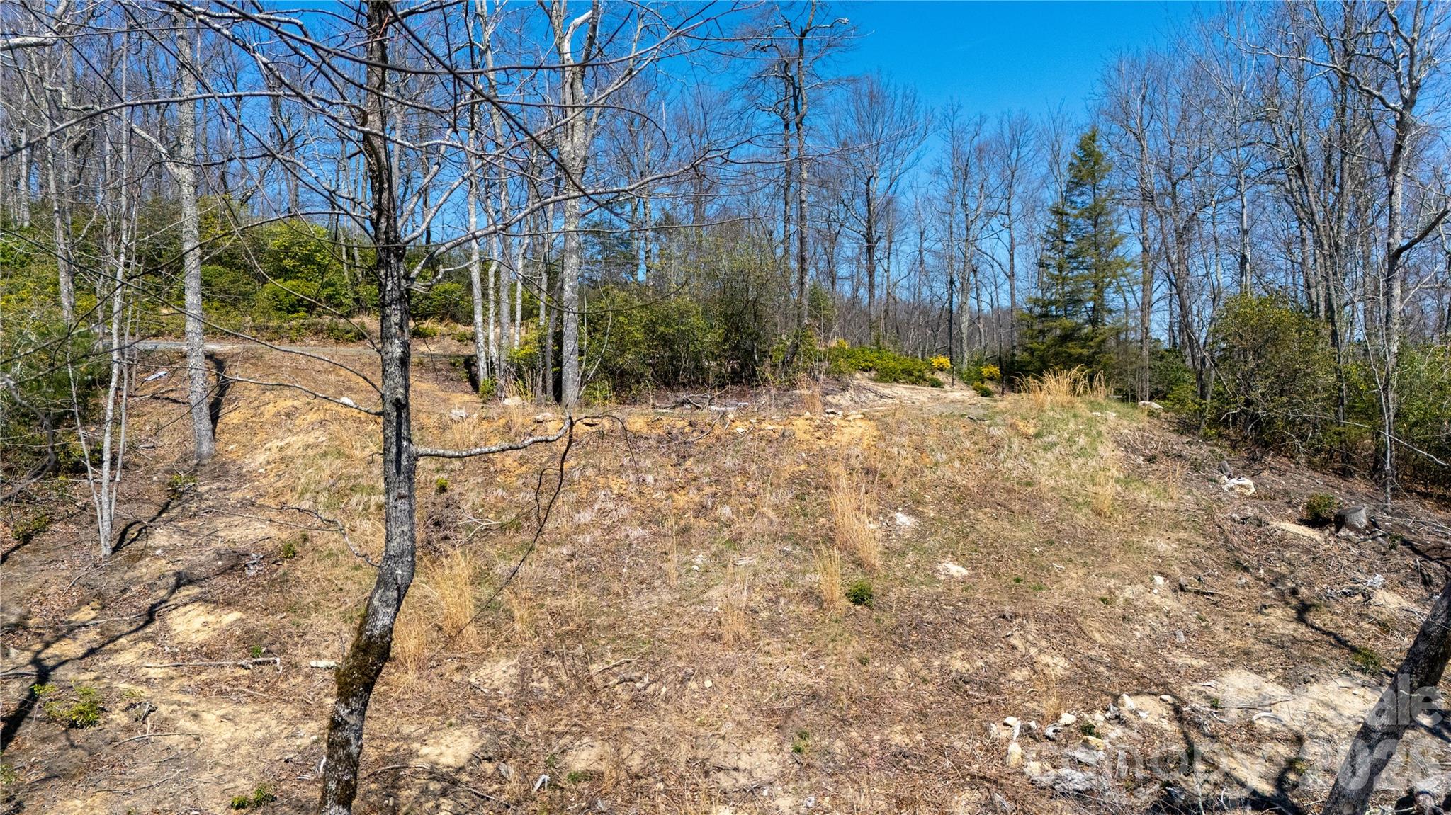 000 Walker Ridge Property Photo 5