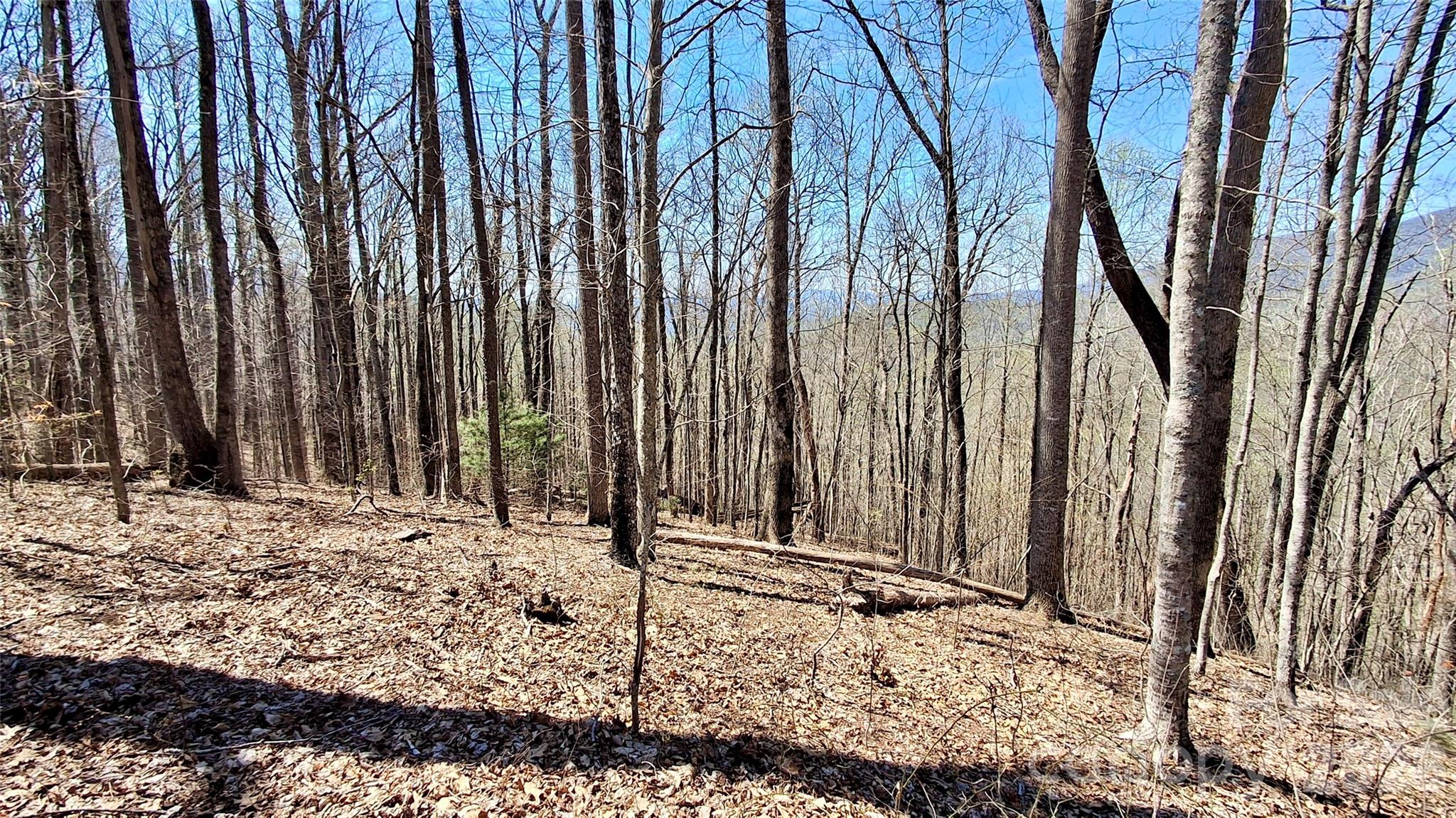 00 Maynor Drive Property Photo 22