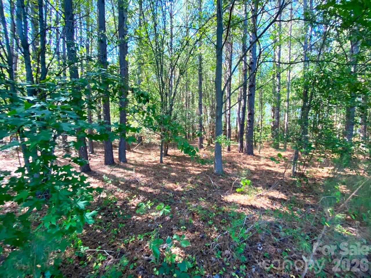 147-Lot A Baxter Road 2 Lots 3 Ac Each