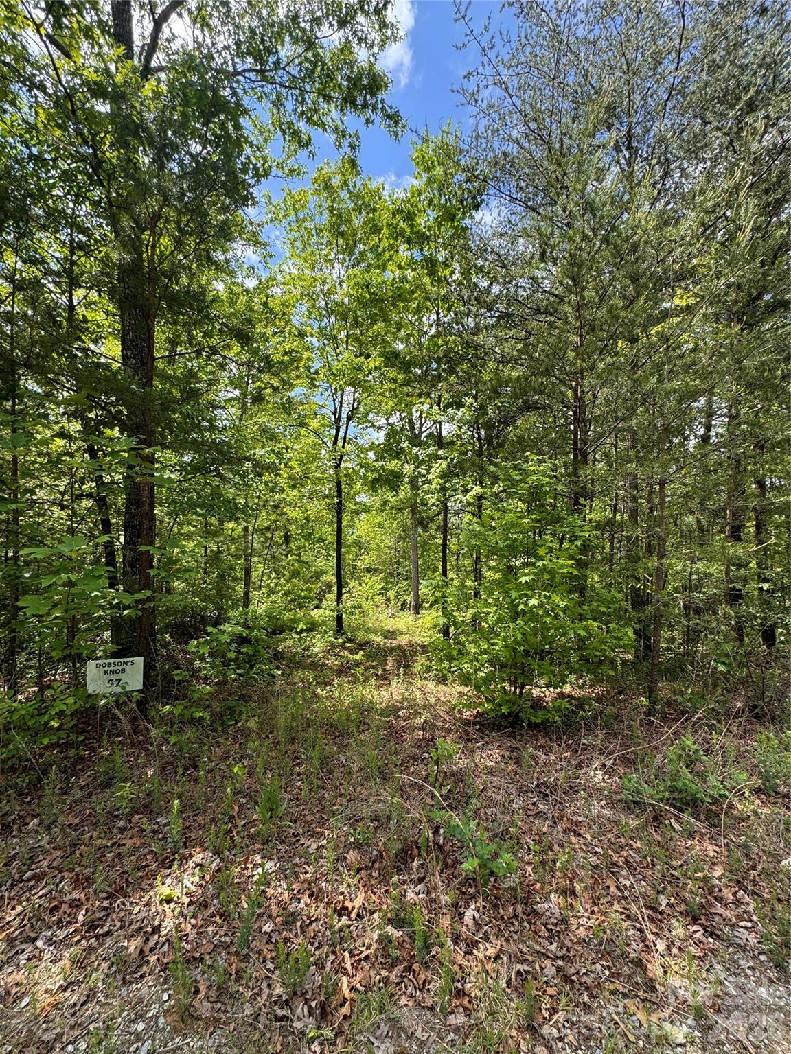 34 Montgomery Drive Property Photo 2