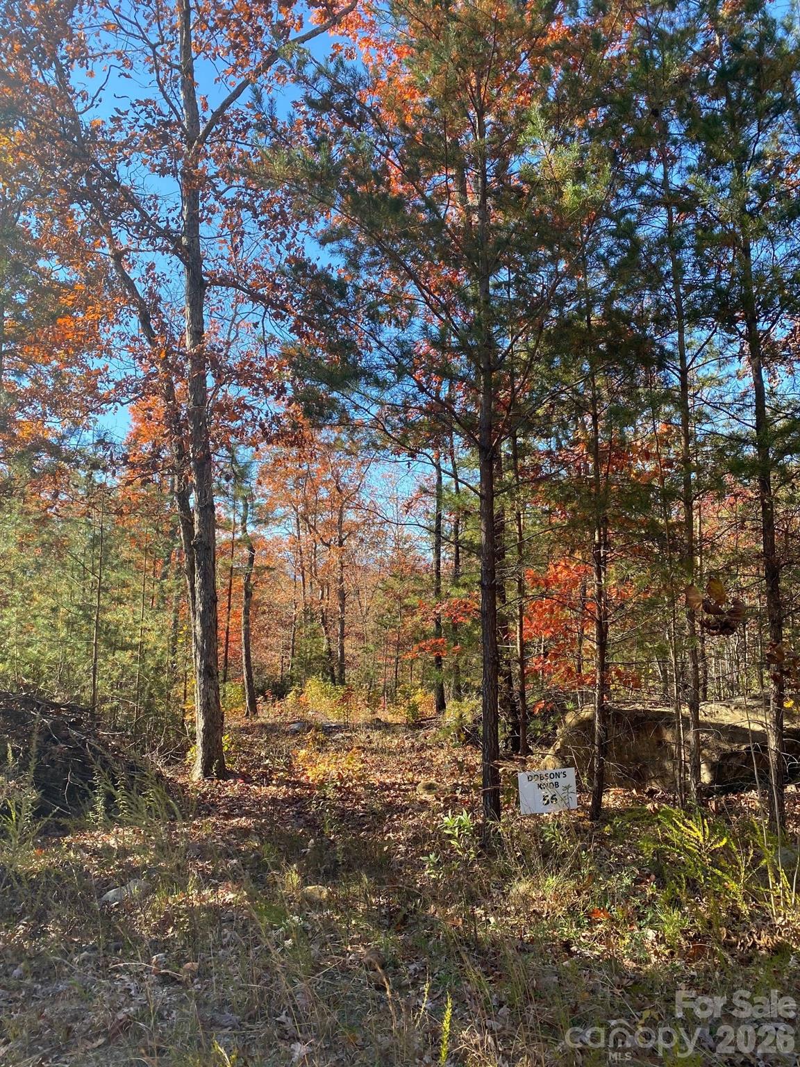 34 Montgomery Drive Property Photo 8