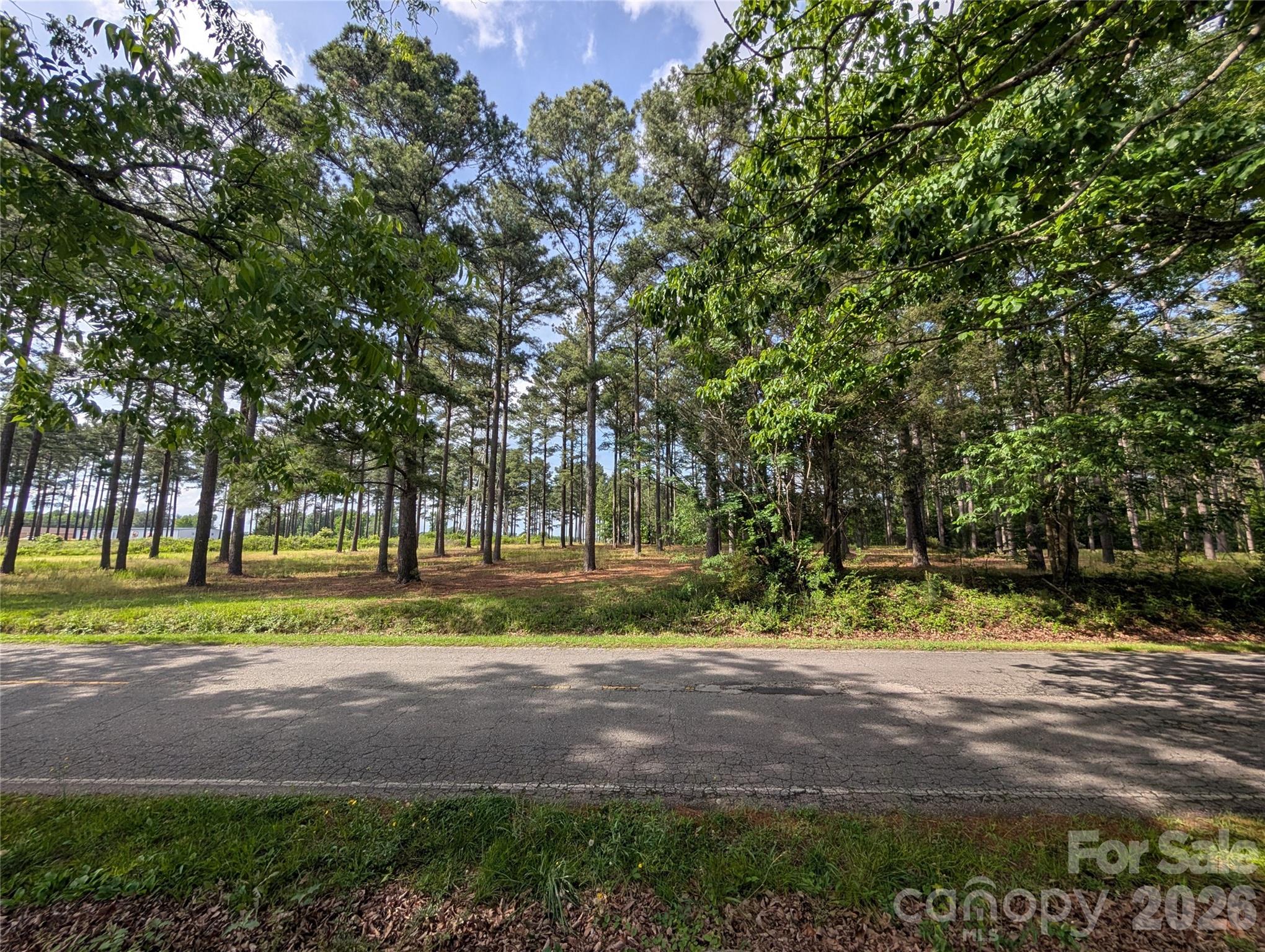 0000 Blessed Hope Road Tract 2 Property Photo 1