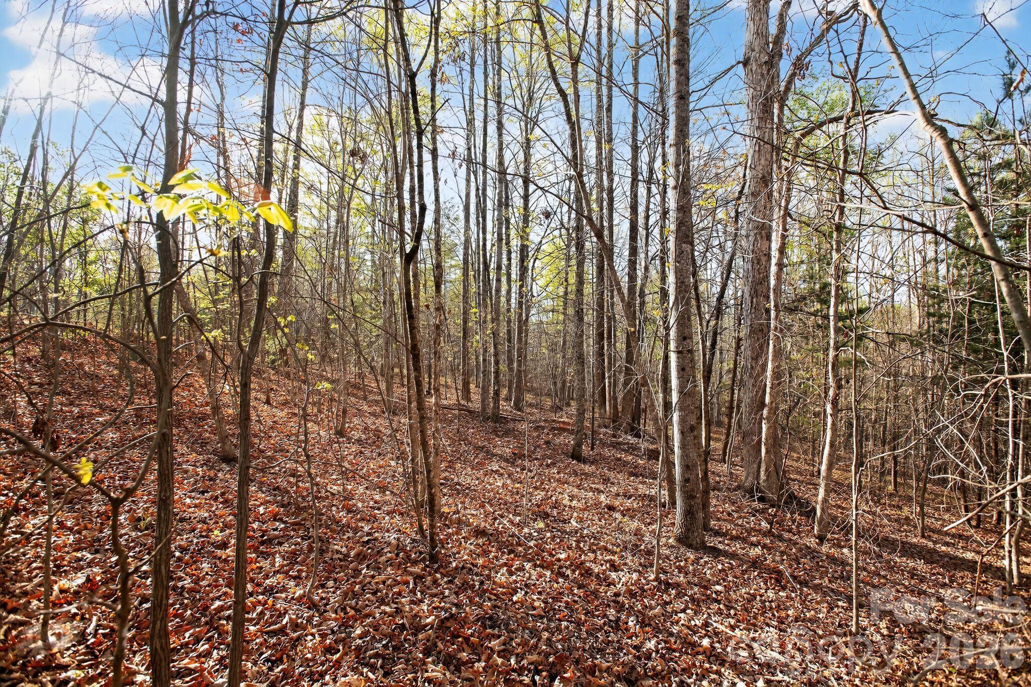 Lot 62 Dirksen Avenue Property Photo 1