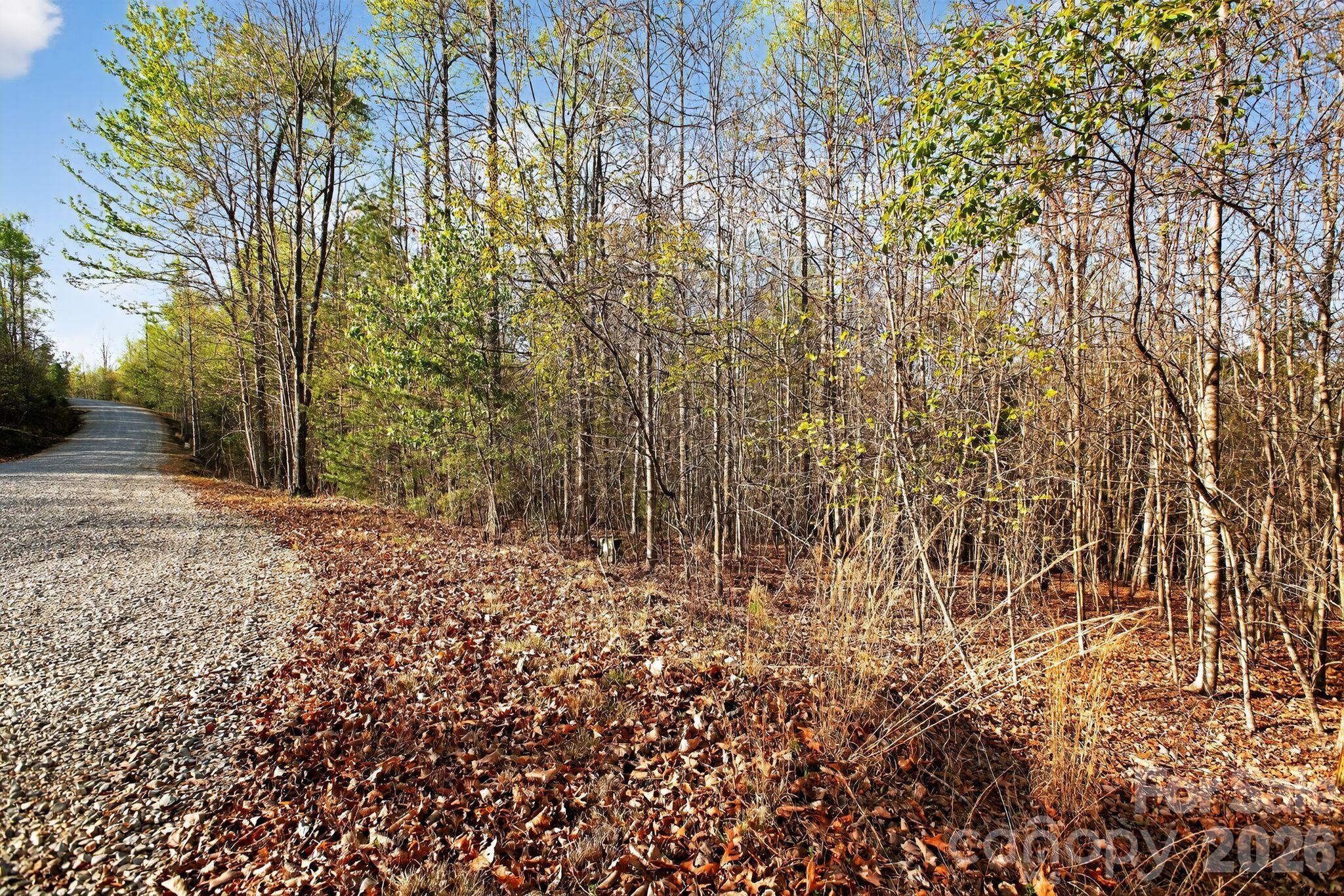 Lot 62 Dirksen Avenue Property Photo 2