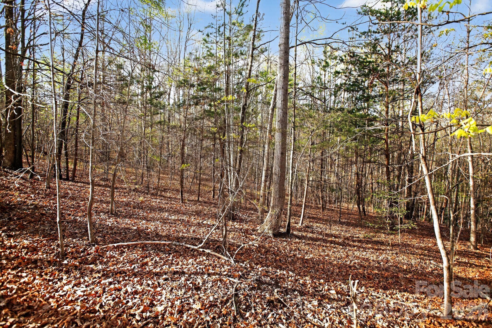 Lot 62 Dirksen Avenue Property Photo 3