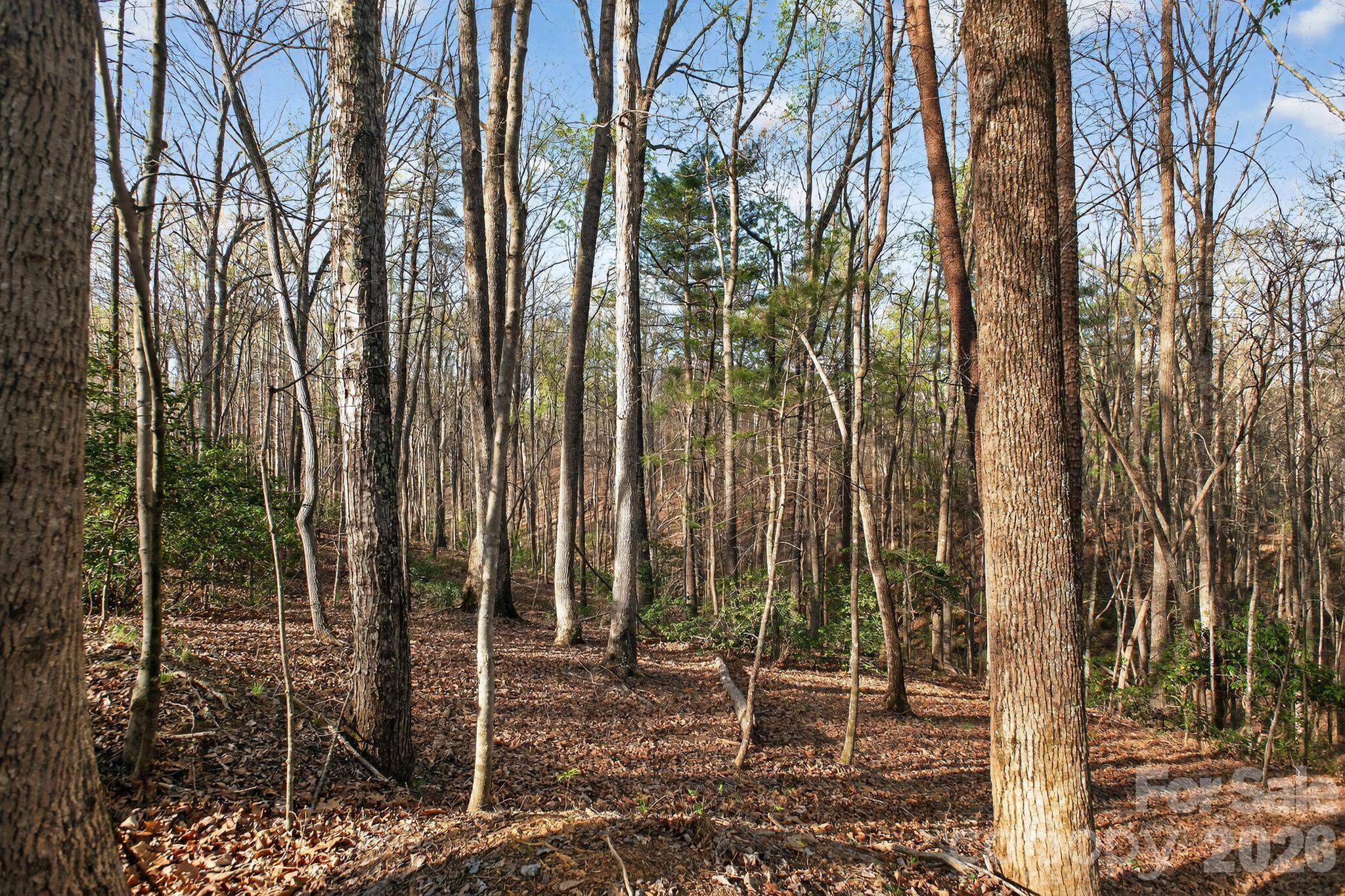 Lot 62 Dirksen Avenue Property Photo 4