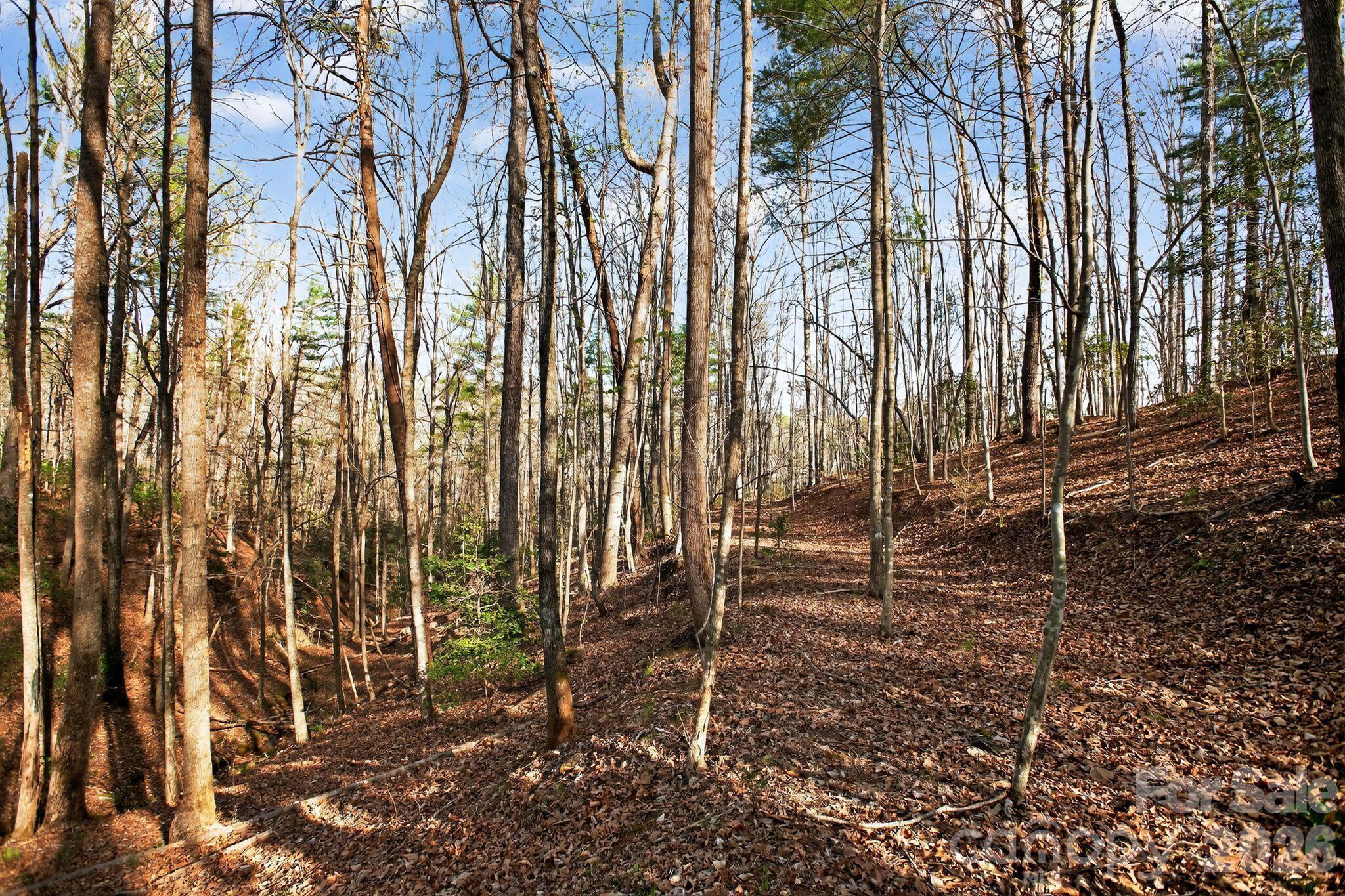 Lot 62 Dirksen Avenue Property Photo 5