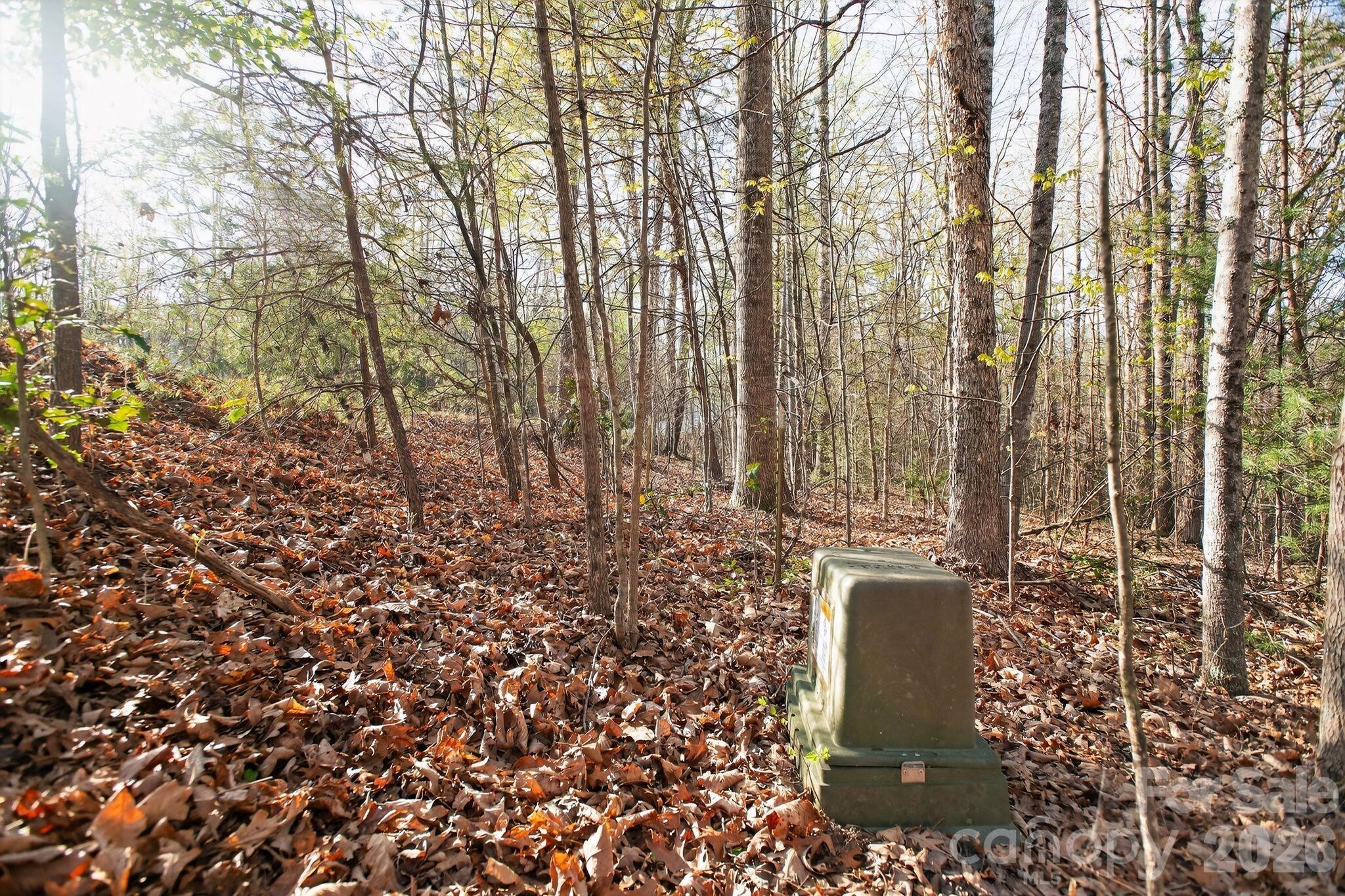 Lot 62 Dirksen Avenue Property Photo 9