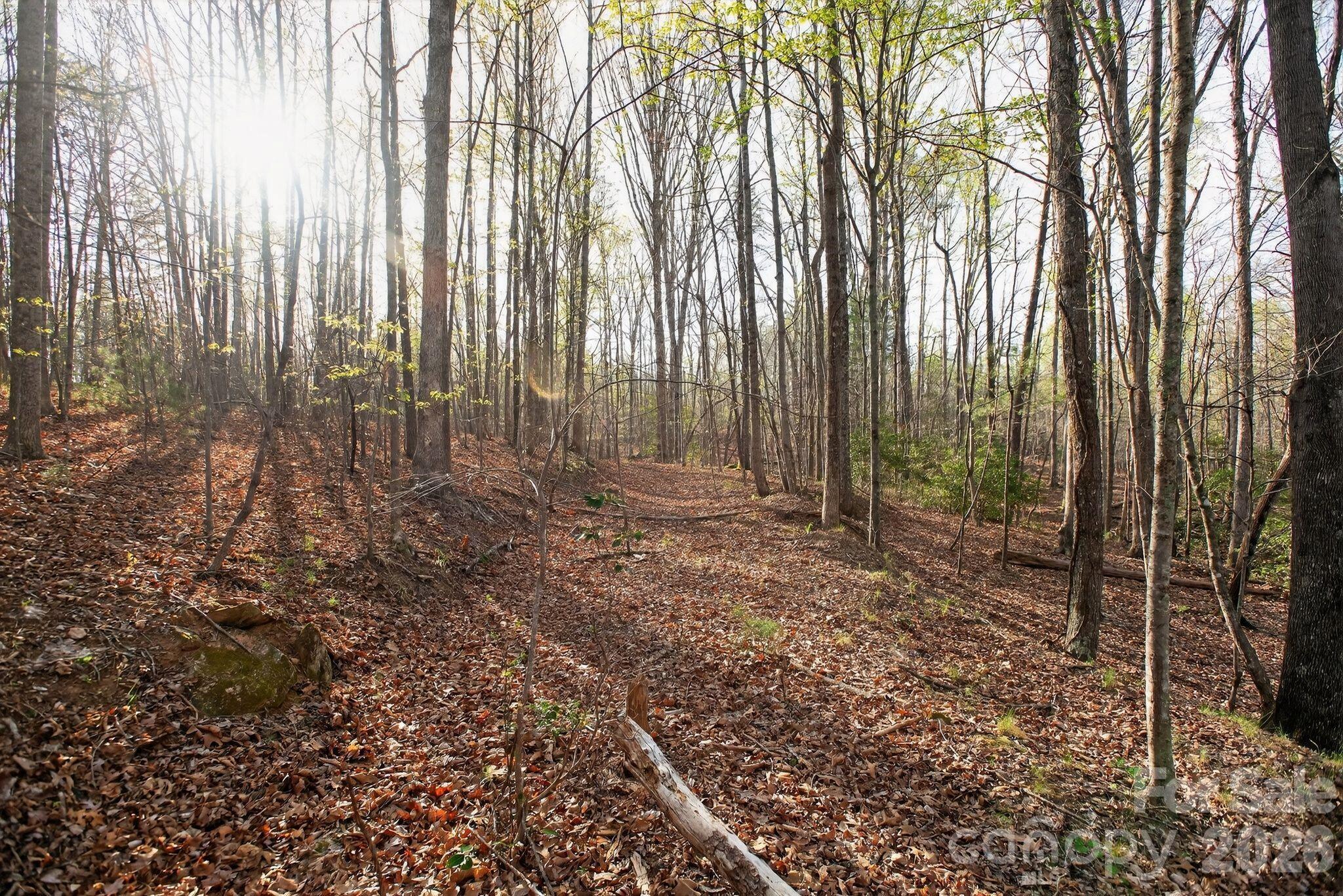 Lot 62 Dirksen Avenue Property Photo 10