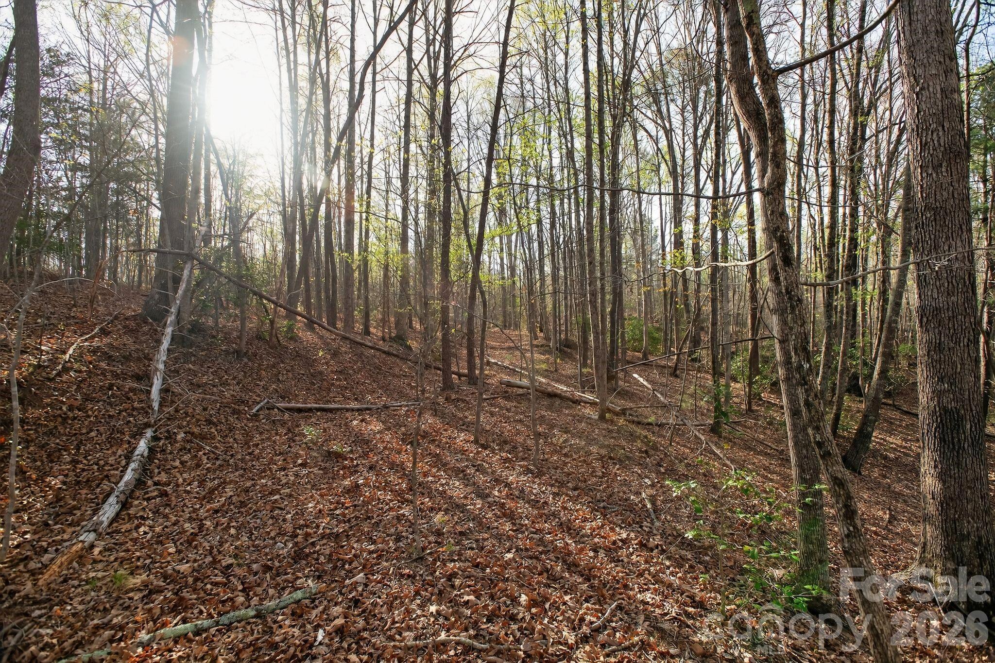 Lot 62 Dirksen Avenue Property Photo 11