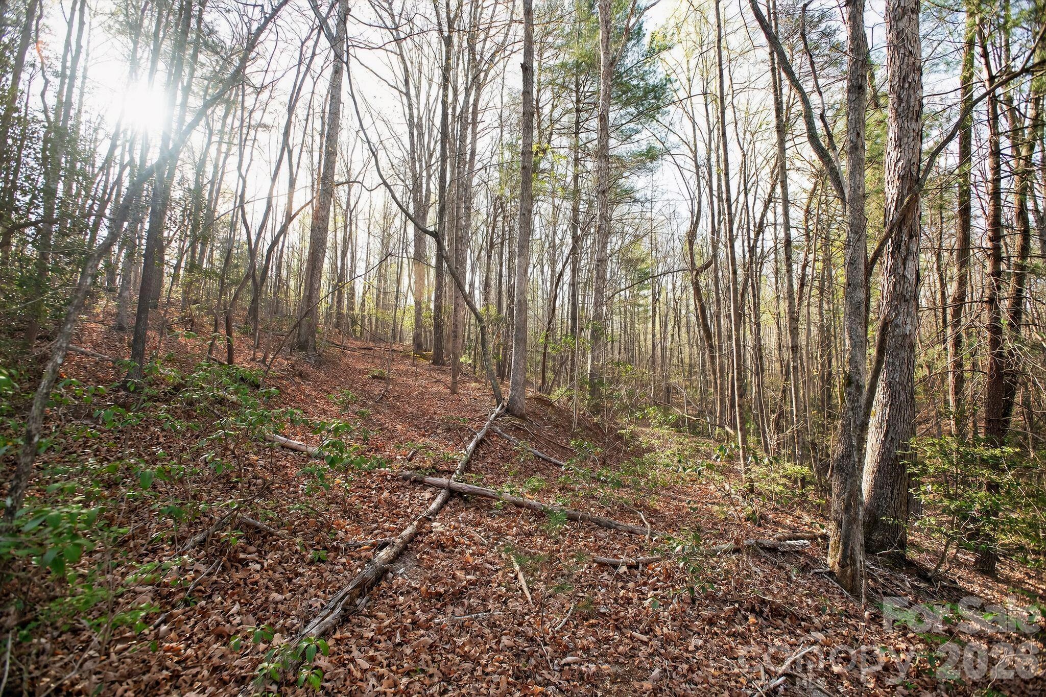 Lot 62 Dirksen Avenue Property Photo 12