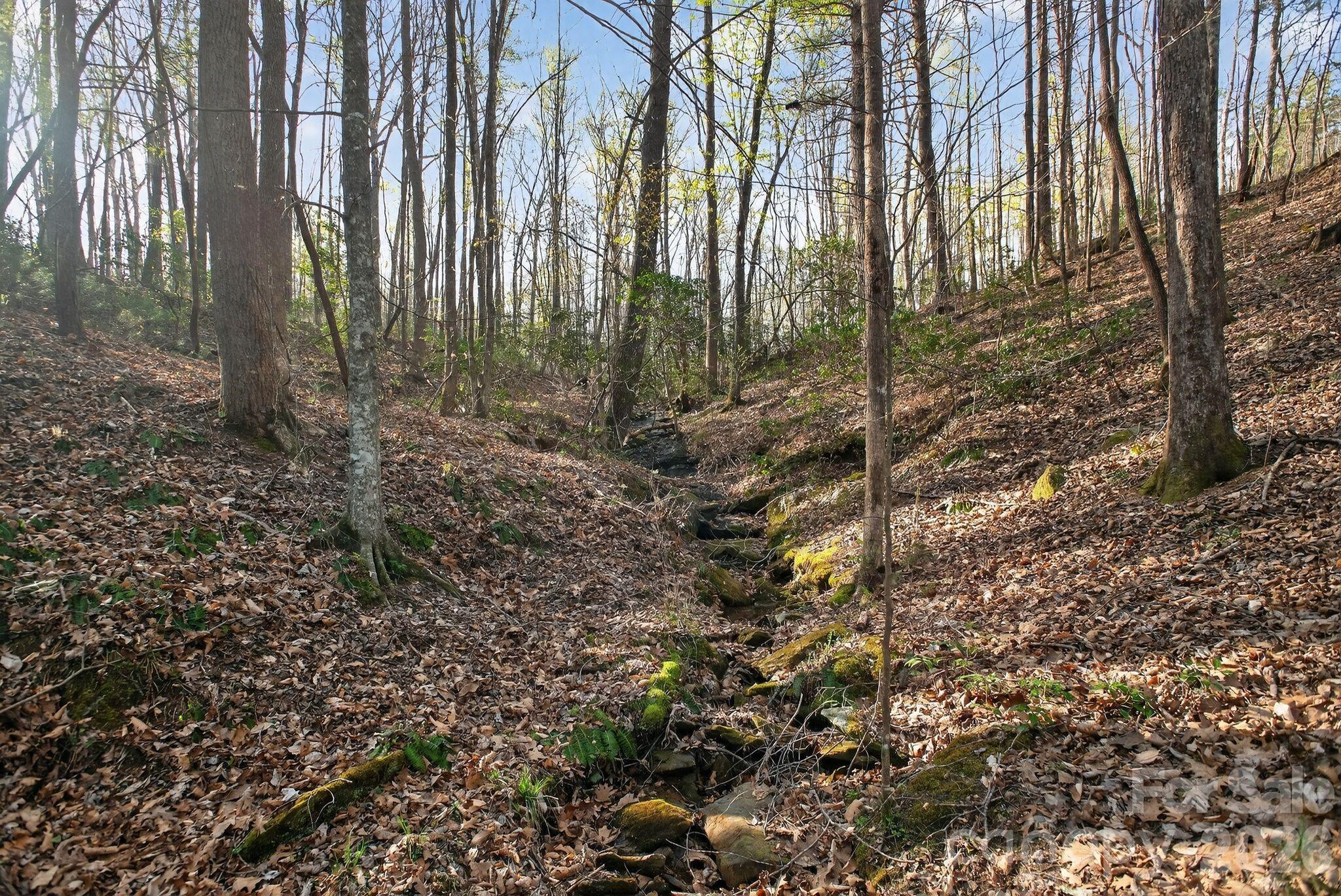 Lot 62 Dirksen Avenue Property Photo 13