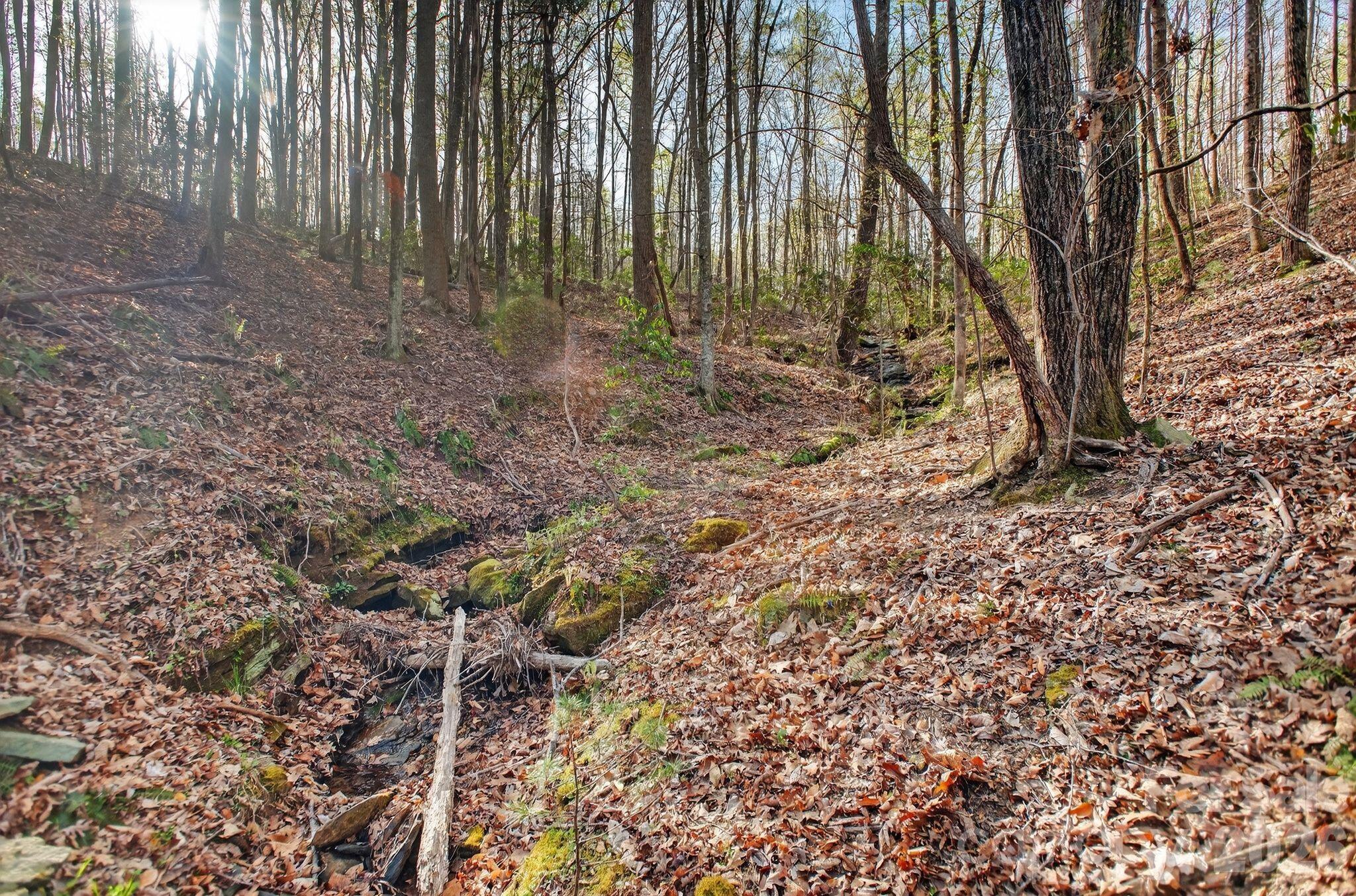Lot 62 Dirksen Avenue Property Photo 14
