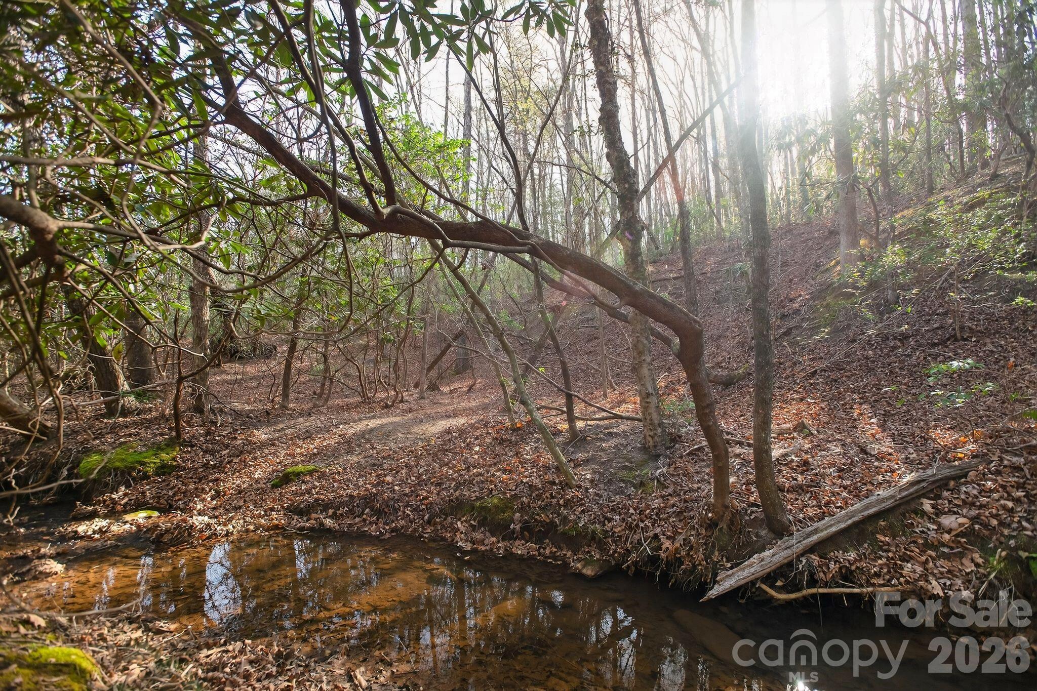 Lot 62 Dirksen Avenue Property Photo 15