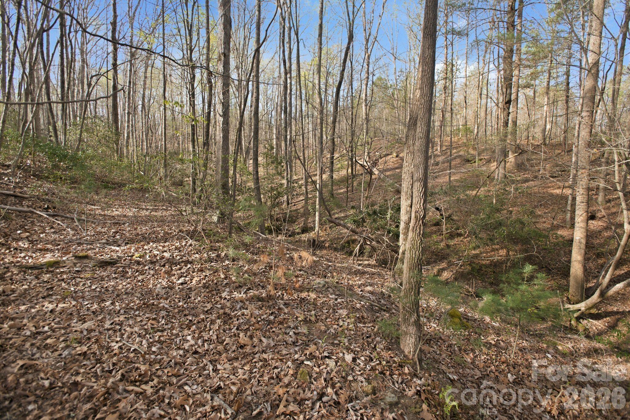 Lot 62 Dirksen Avenue Property Photo 16