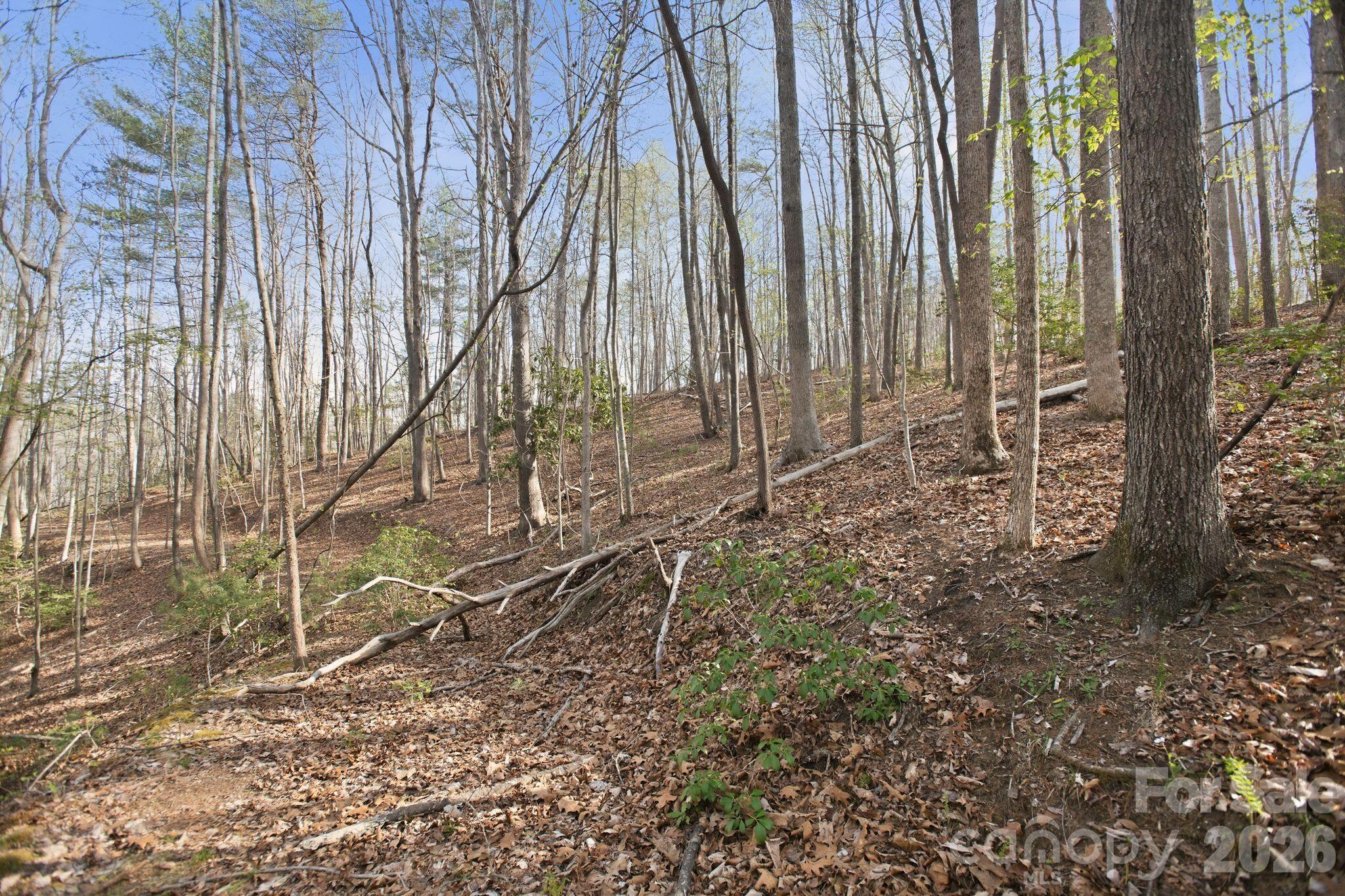 Lot 62 Dirksen Avenue Property Photo 17