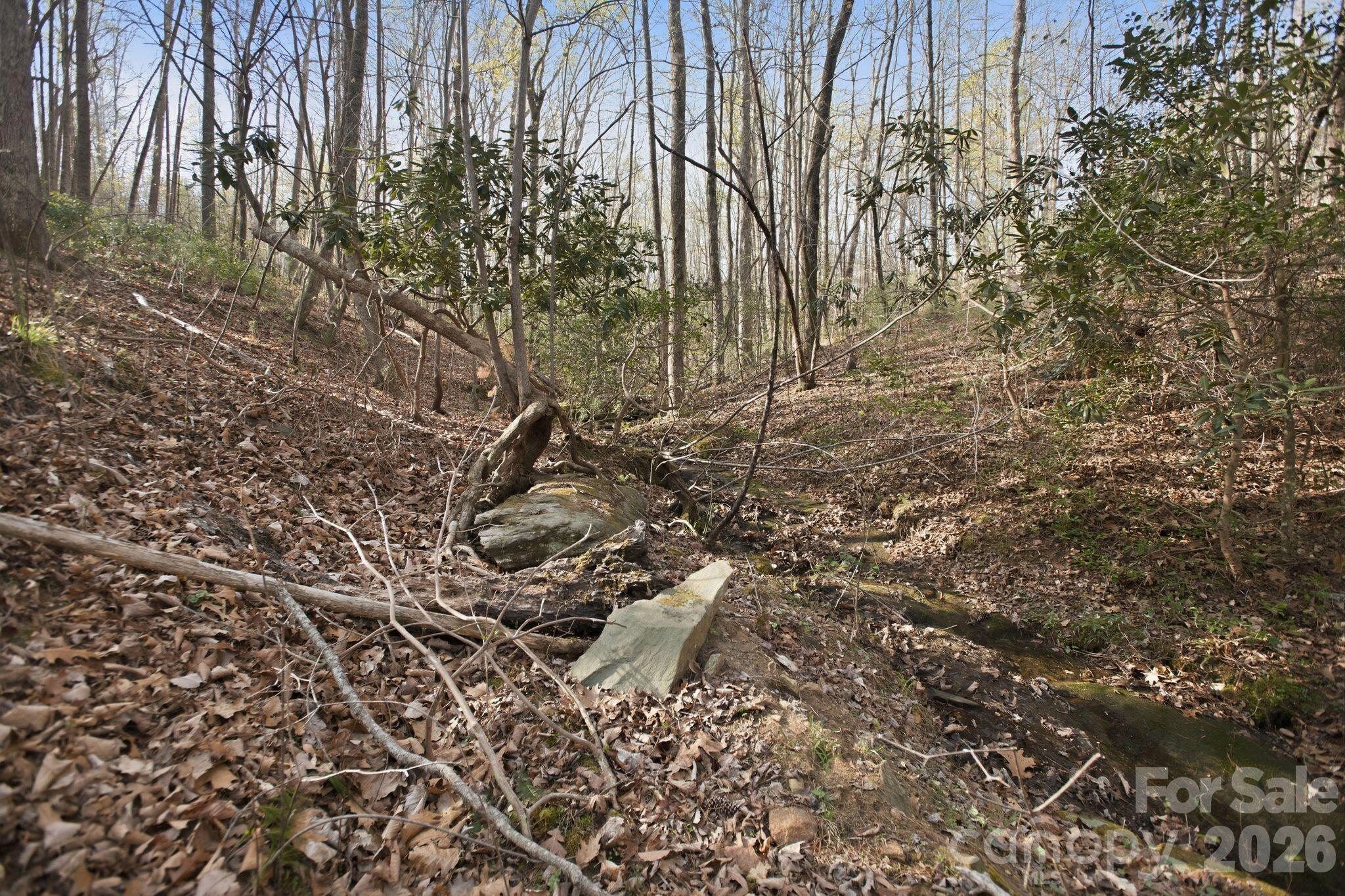 Lot 62 Dirksen Avenue Property Photo 18