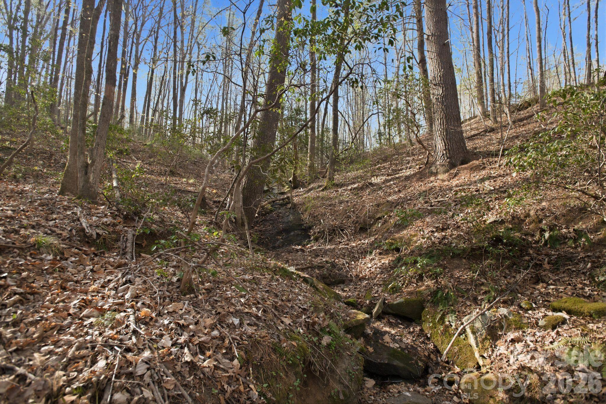 Lot 62 Dirksen Avenue Property Photo 19