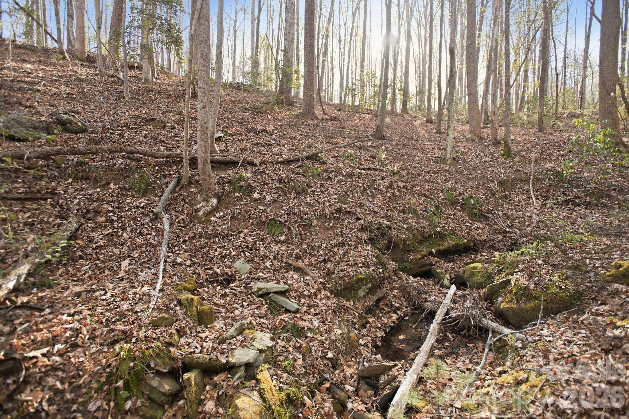 Lot 62 Dirksen Avenue Property Photo 20