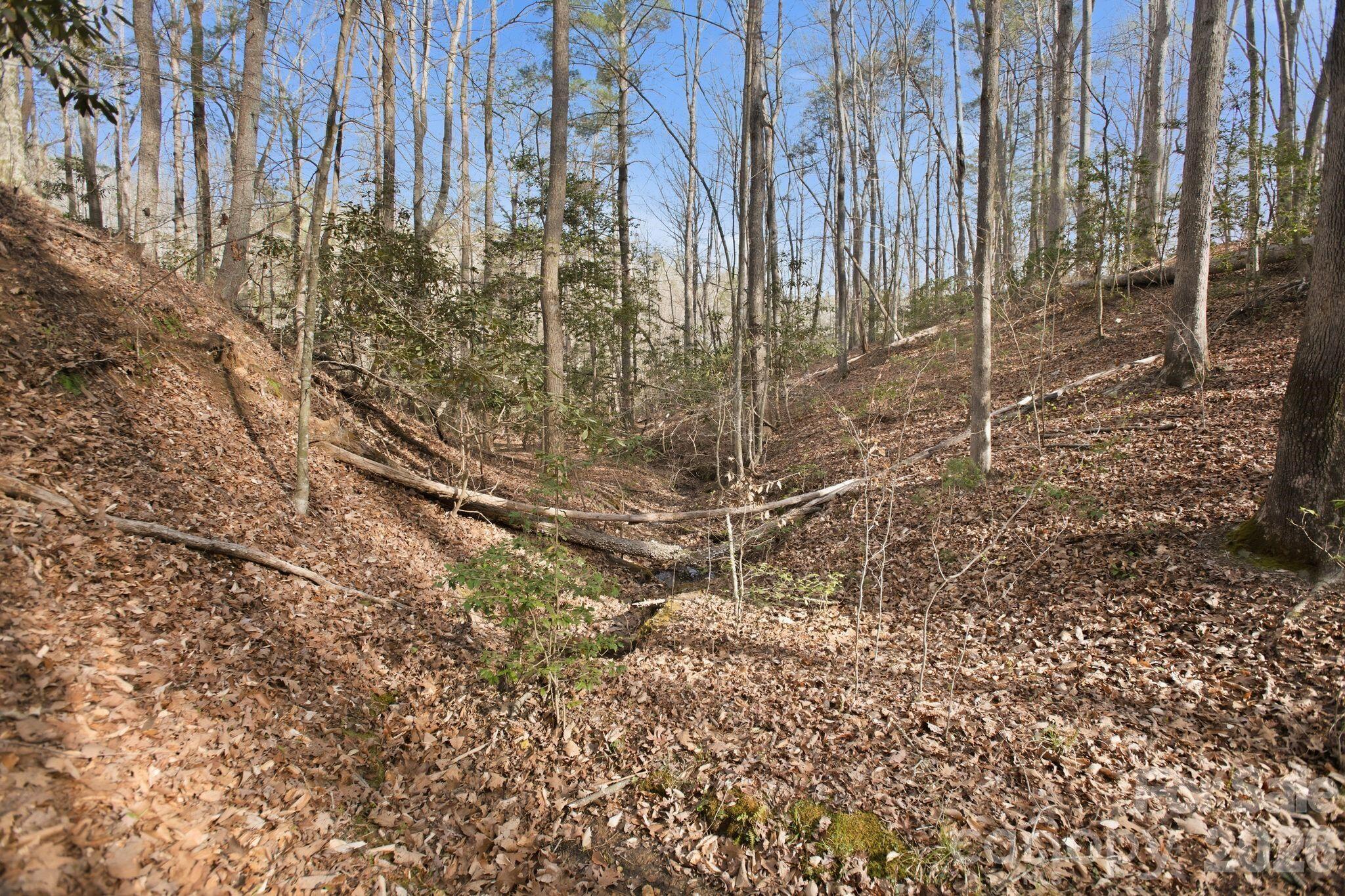 Lot 62 Dirksen Avenue Property Photo 21