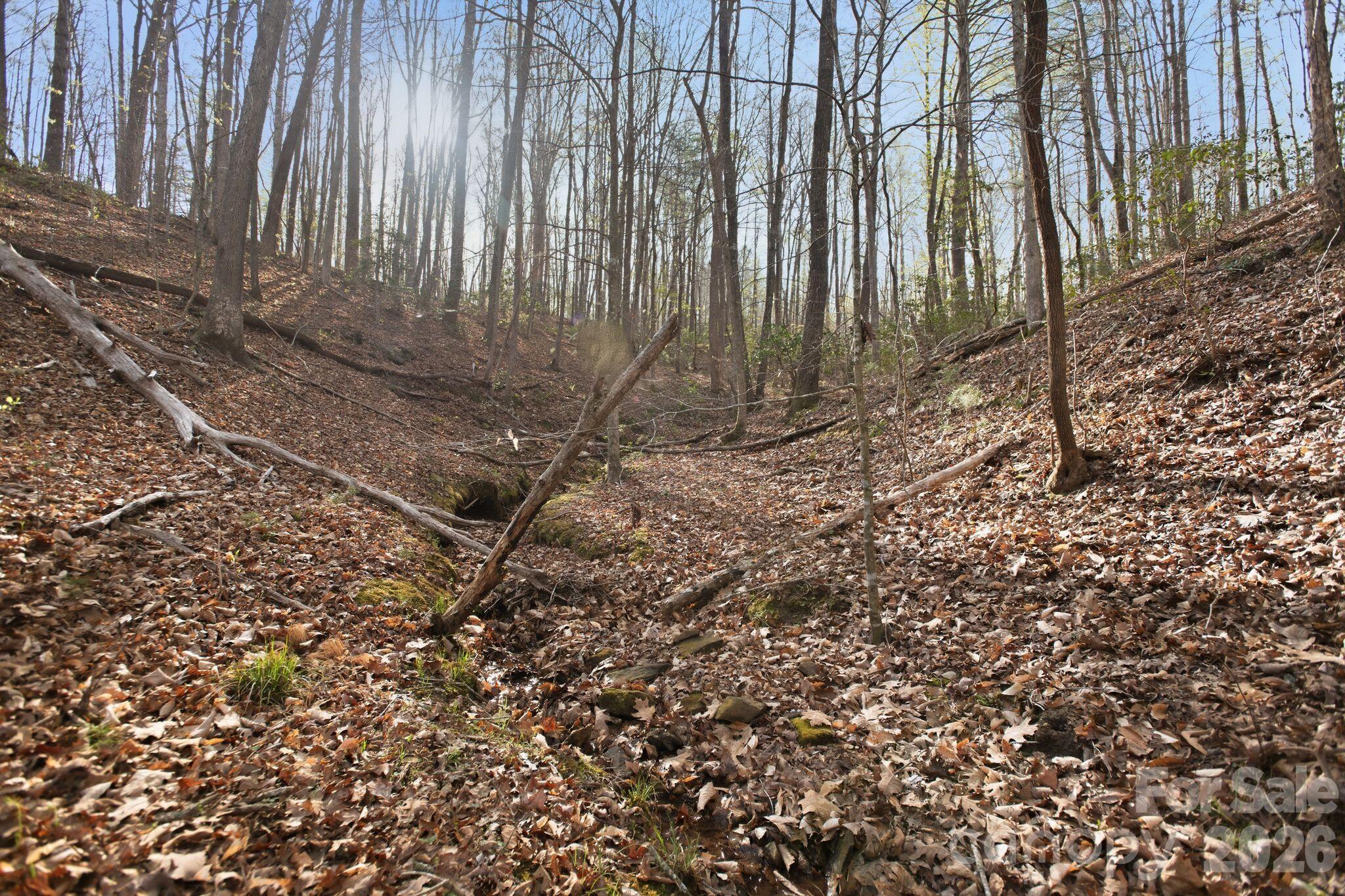 Lot 62 Dirksen Avenue Property Photo 22