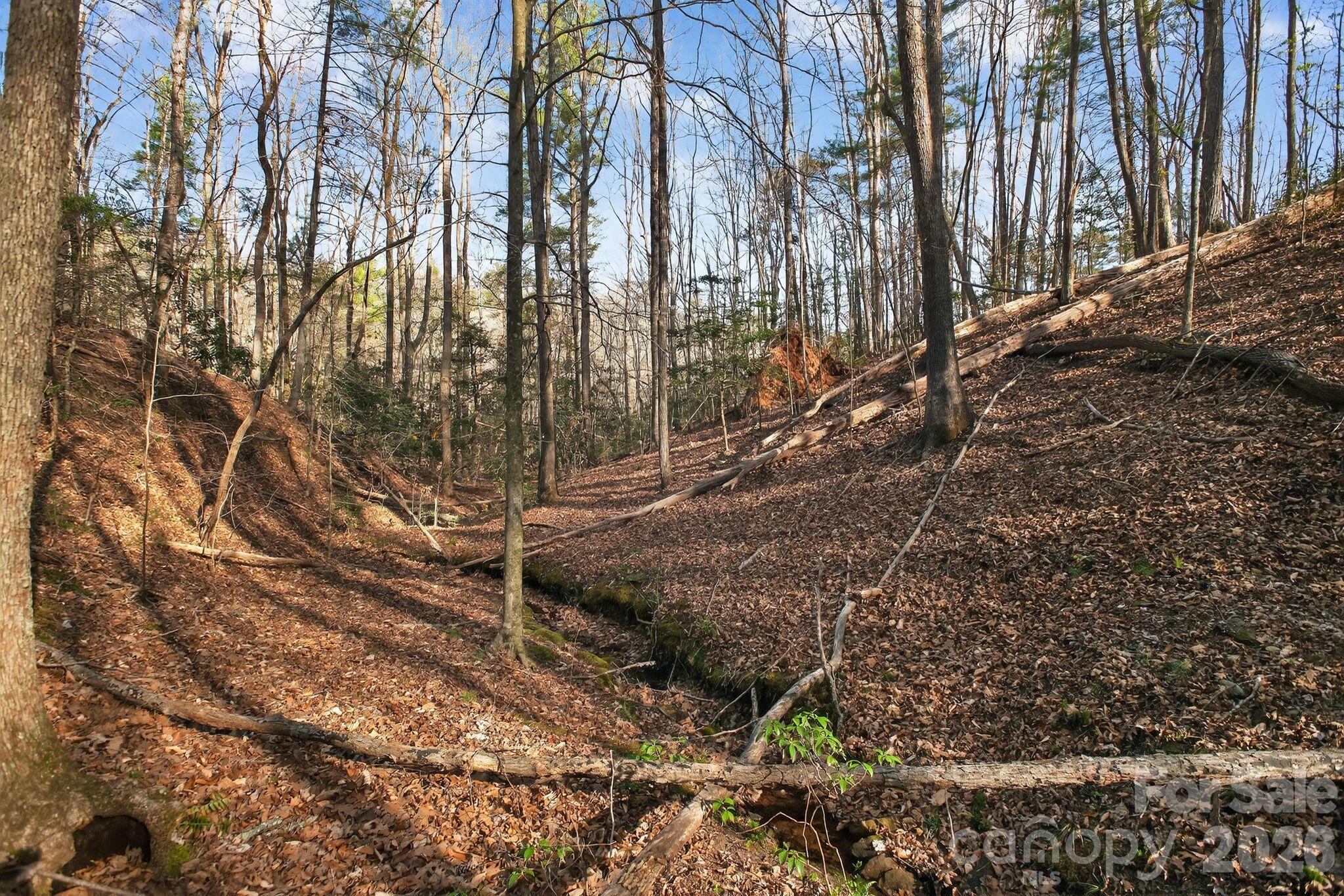 Lot 62 Dirksen Avenue Property Photo 23