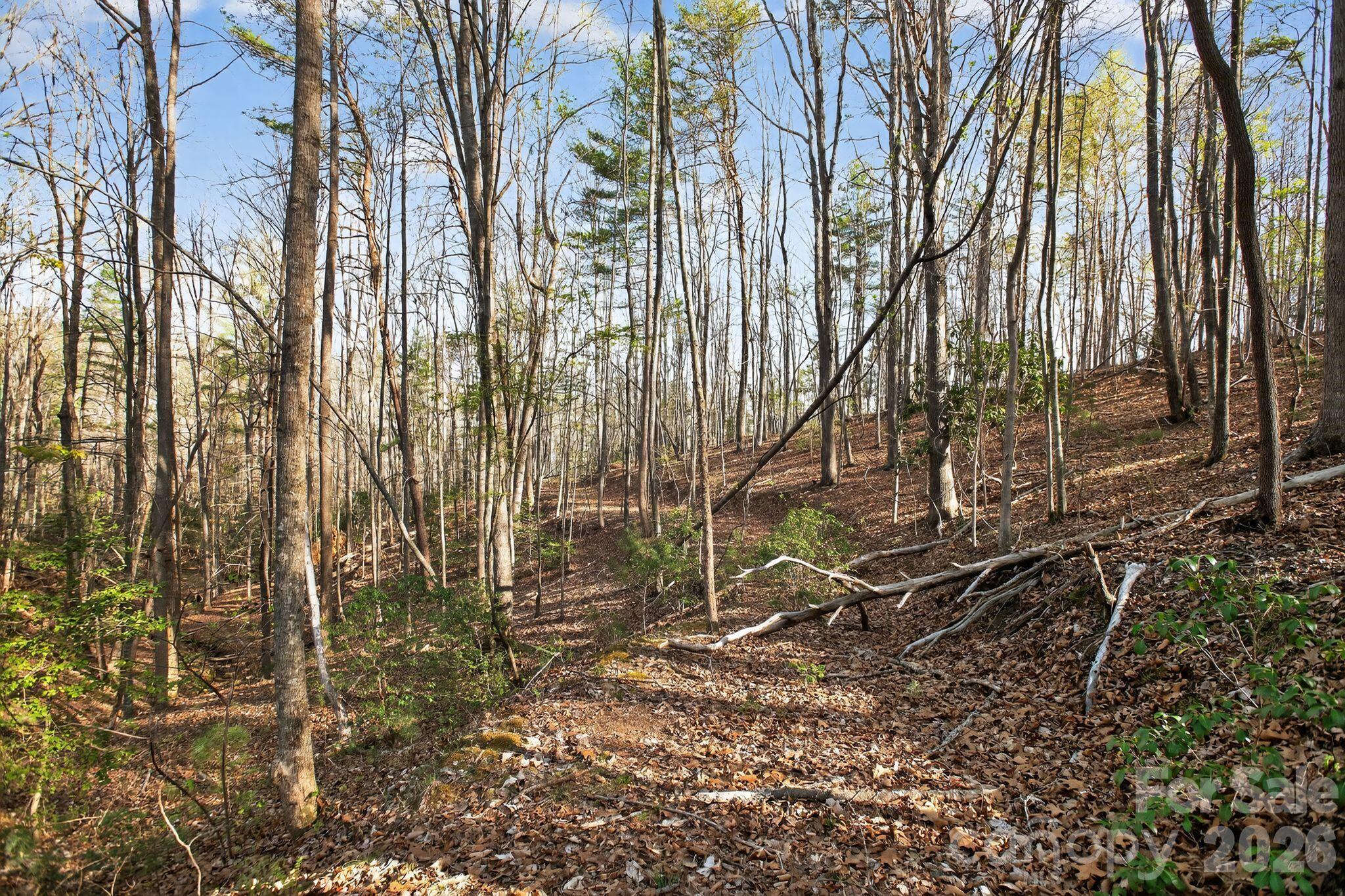 Lot 62 Dirksen Avenue Property Photo 25