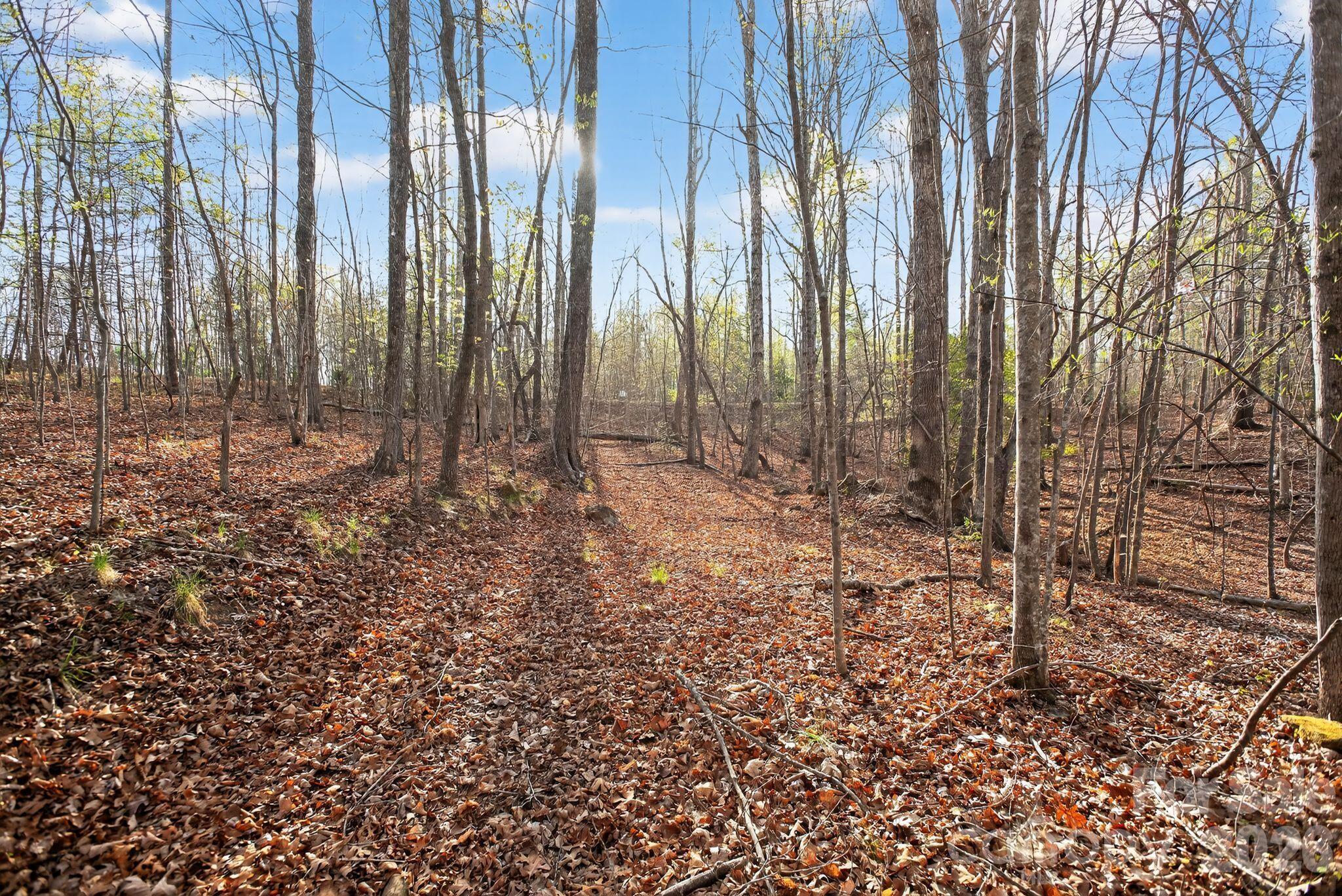 Lot 62 Dirksen Avenue Property Photo 27