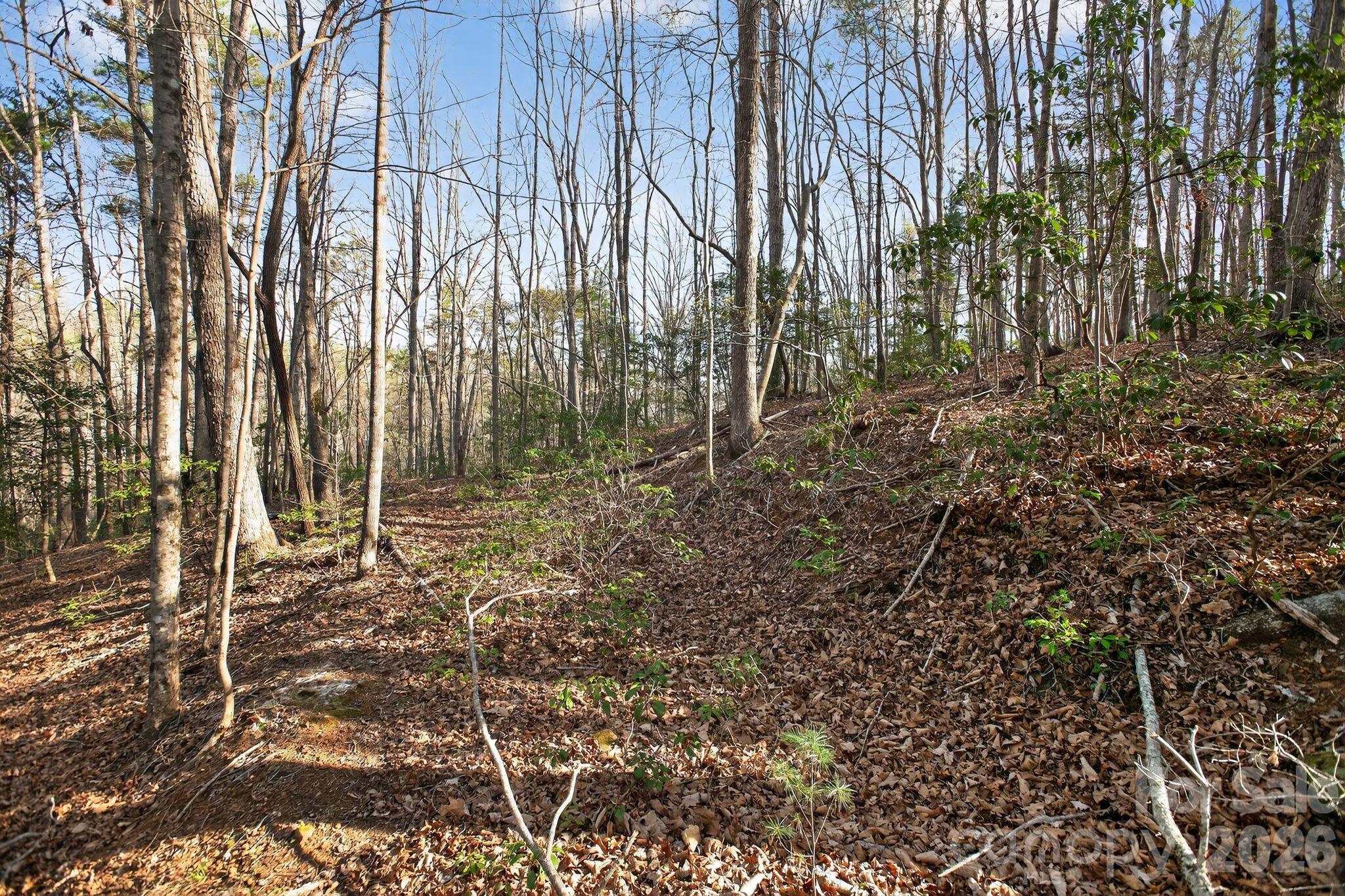 Lot 62 Dirksen Avenue Property Photo 28