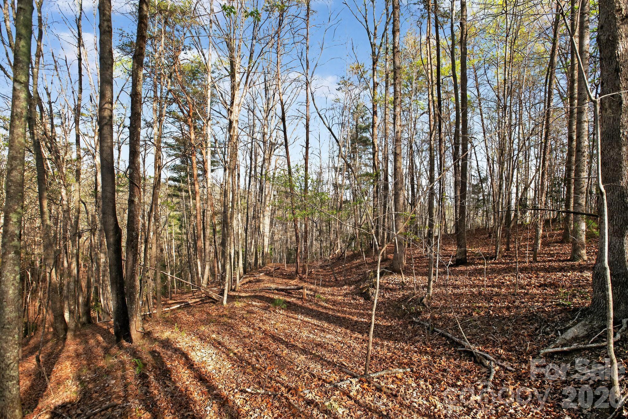 Lot 62 Dirksen Avenue Property Photo 29