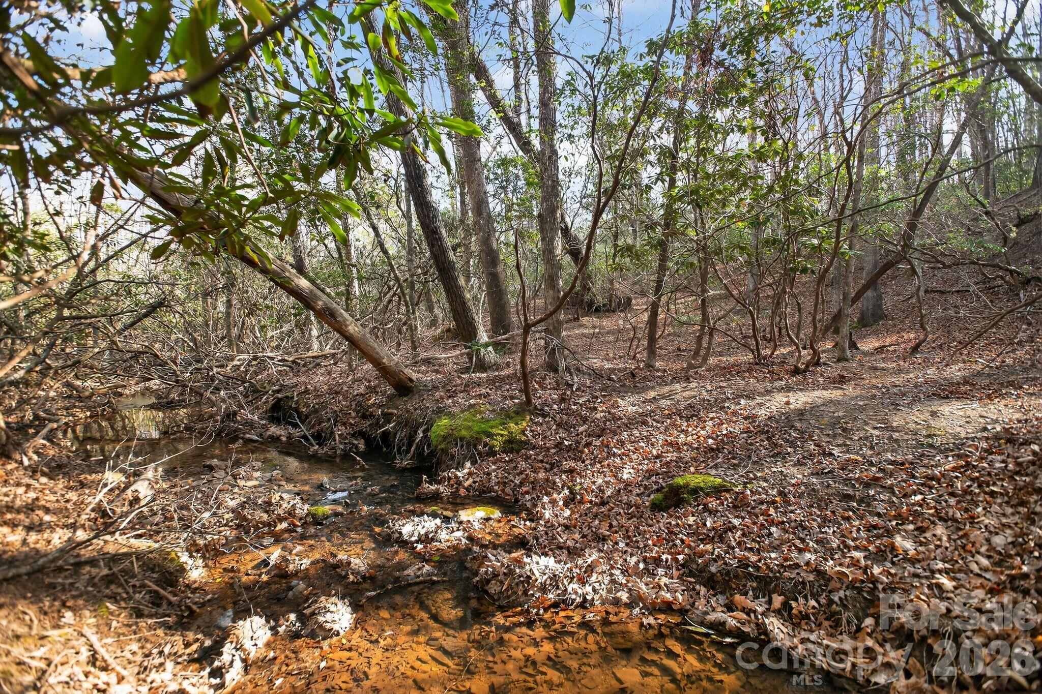 Lot 62 Dirksen Avenue Property Photo 30