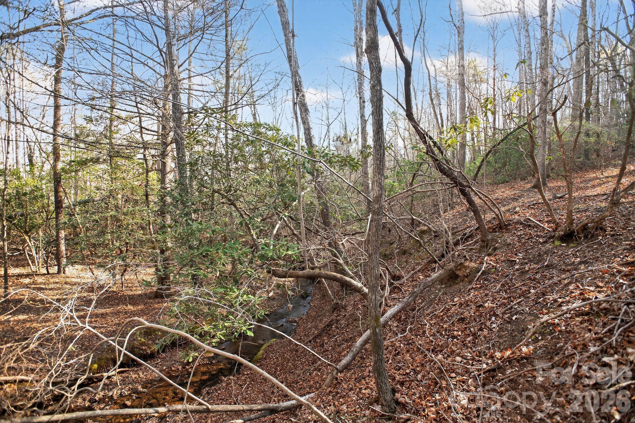 Lot 62 Dirksen Avenue Property Photo 31