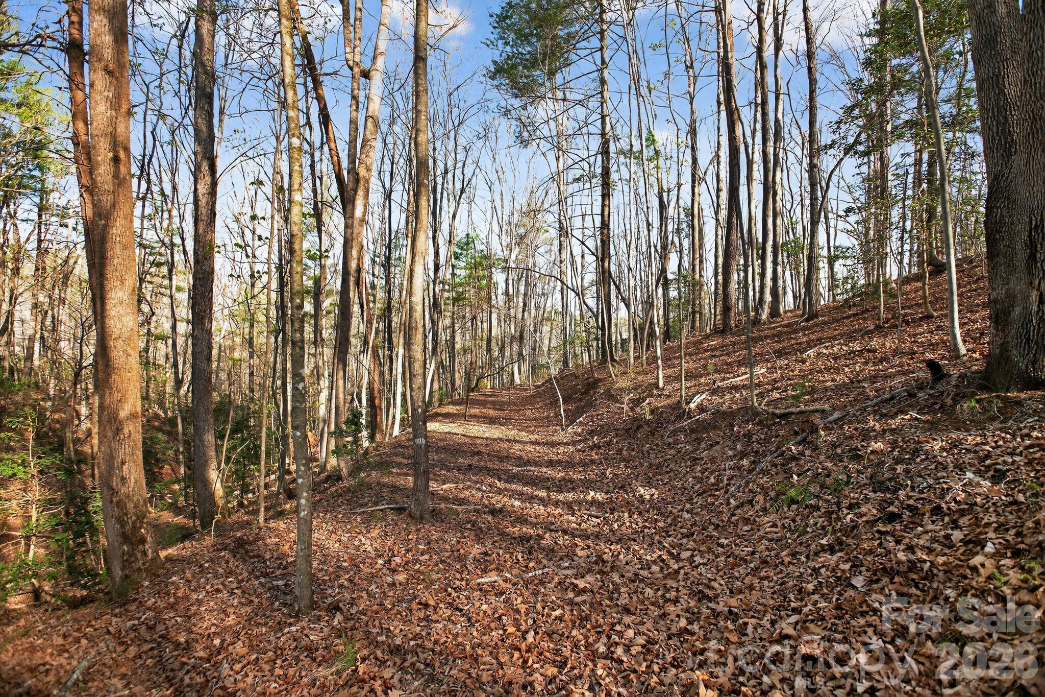 Lot 62 Dirksen Avenue Property Photo 32
