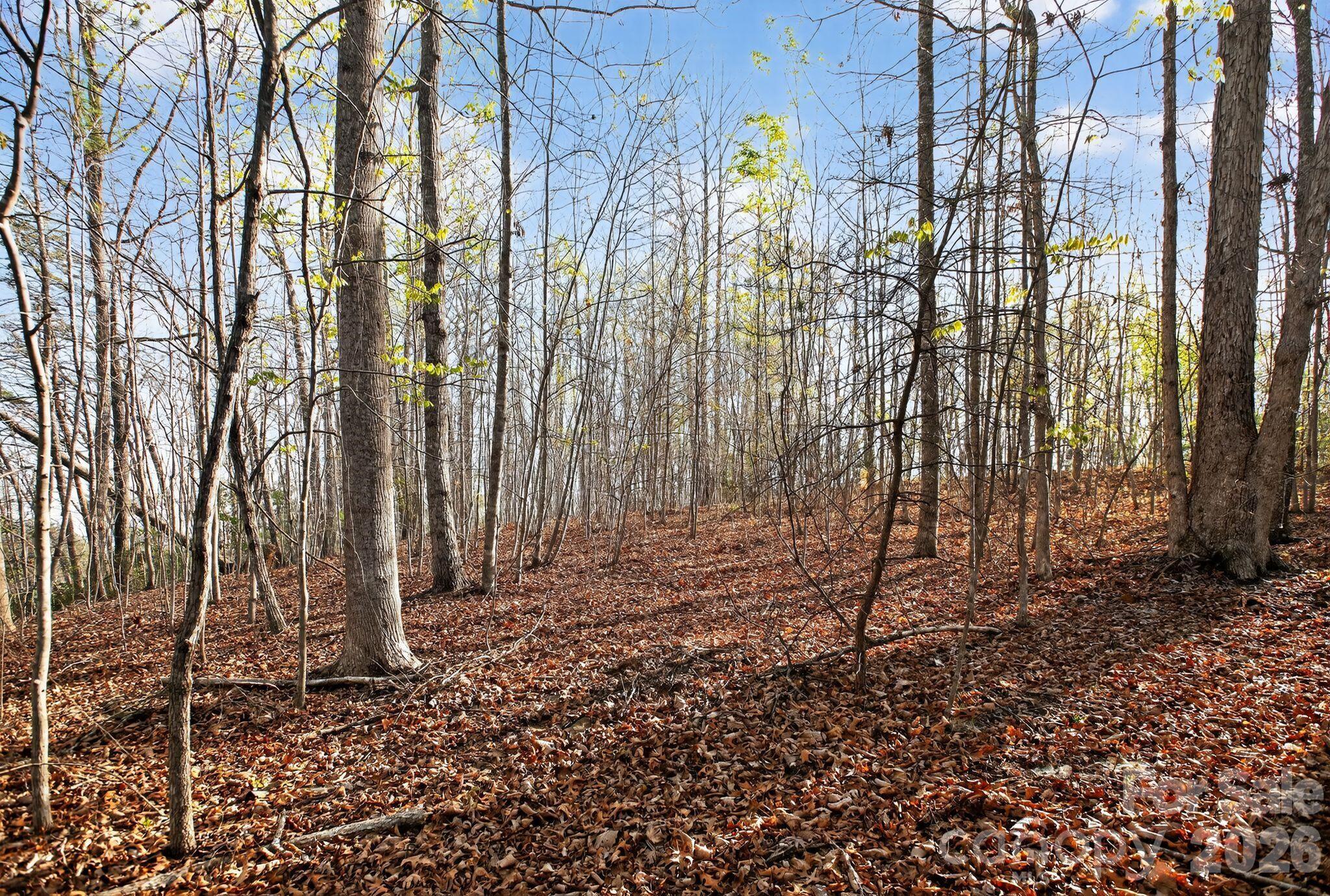 Lot 62 Dirksen Avenue Property Photo 33