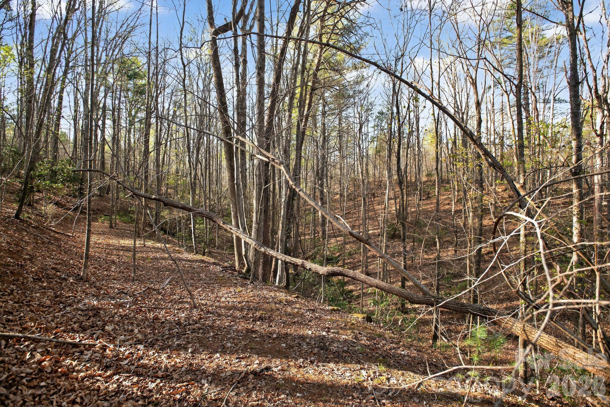 Lot 62 Dirksen Avenue Property Photo 34