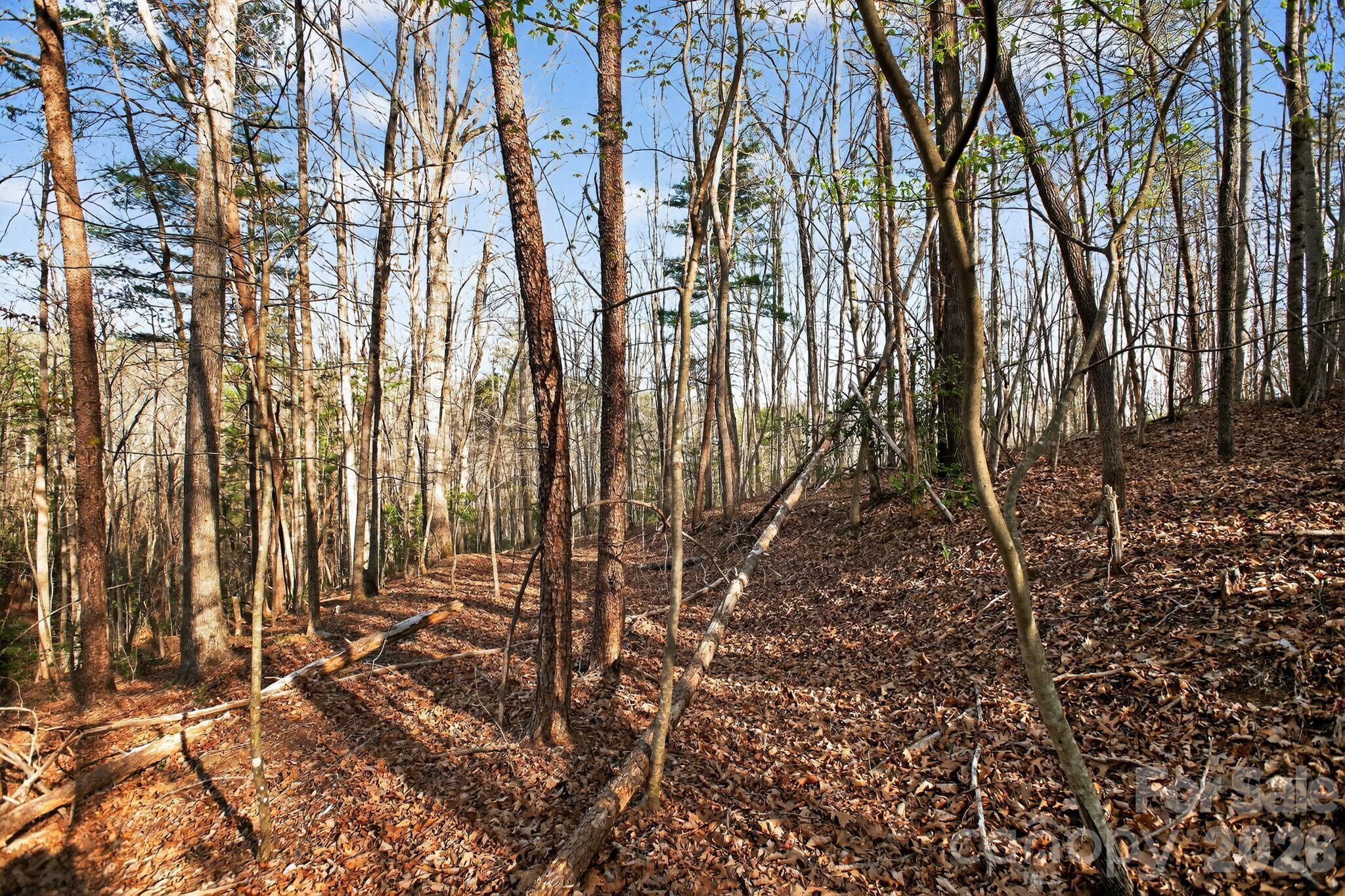 Lot 62 Dirksen Avenue Property Photo 35