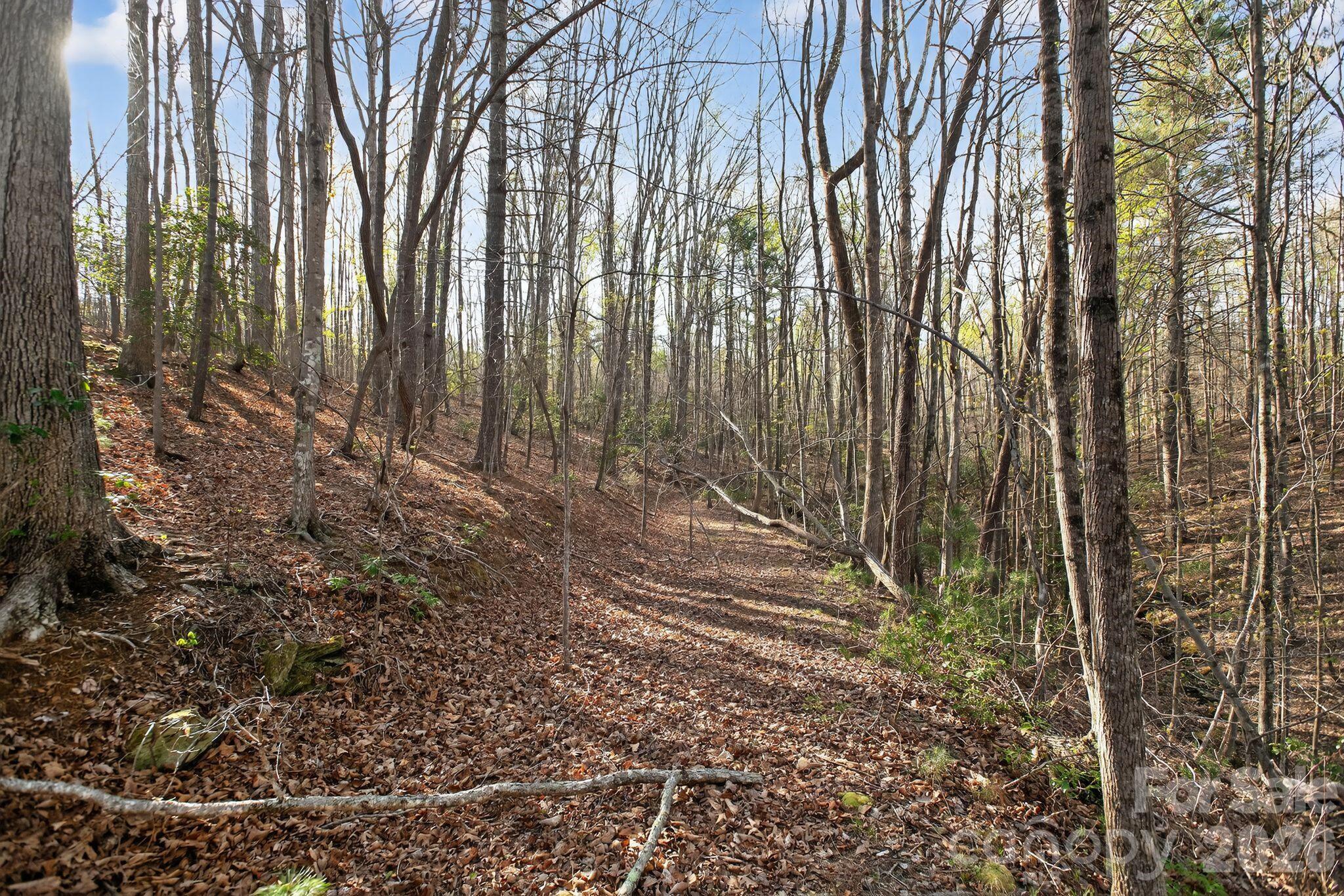 Lot 62 Dirksen Avenue Property Photo 36