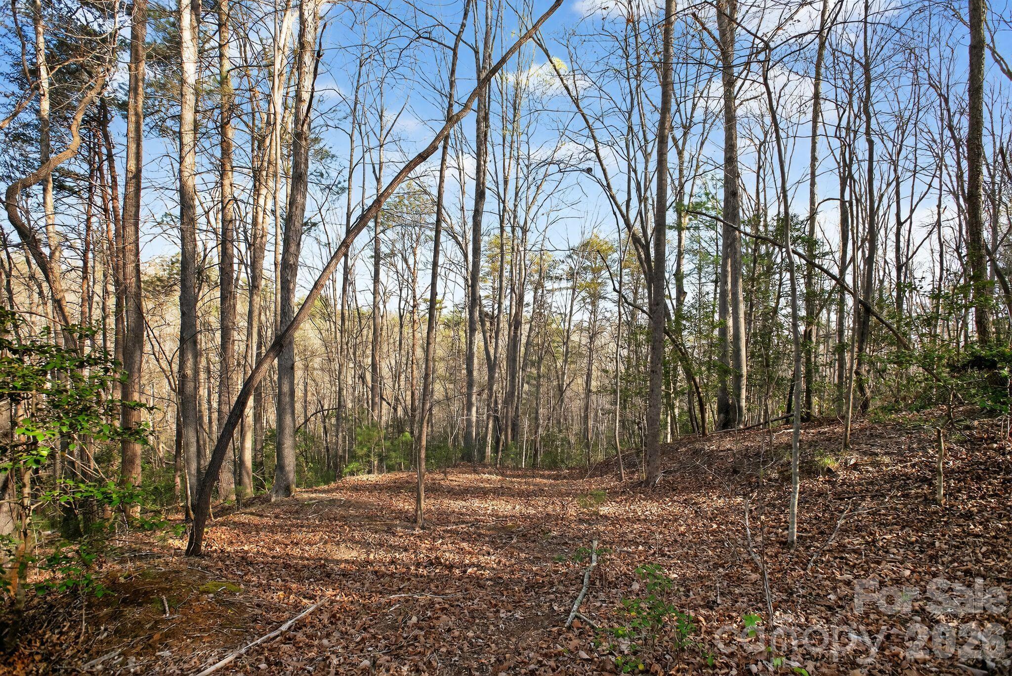 Lot 62 Dirksen Avenue Property Photo 37