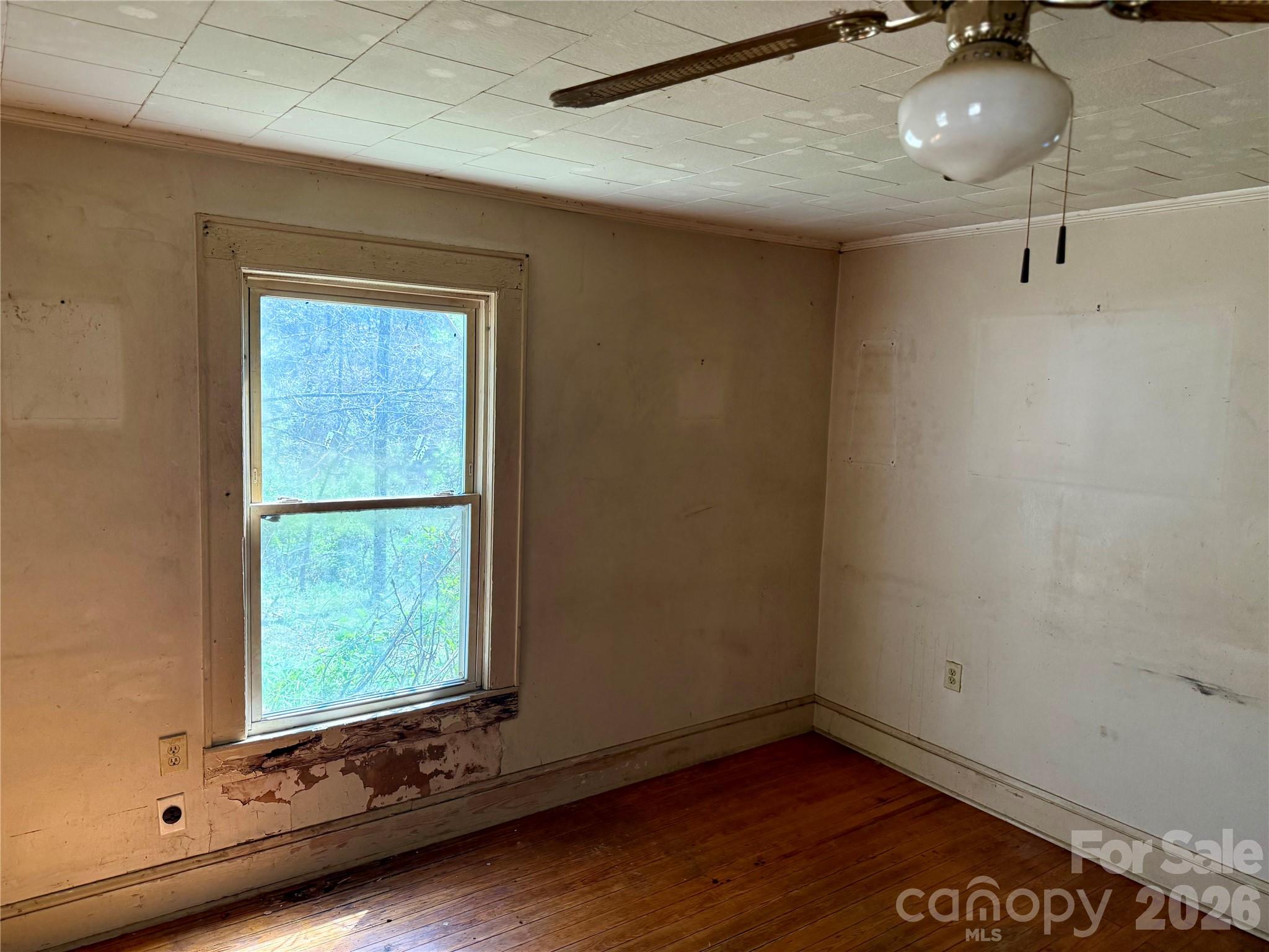 144 Branch Street Property Photo 16