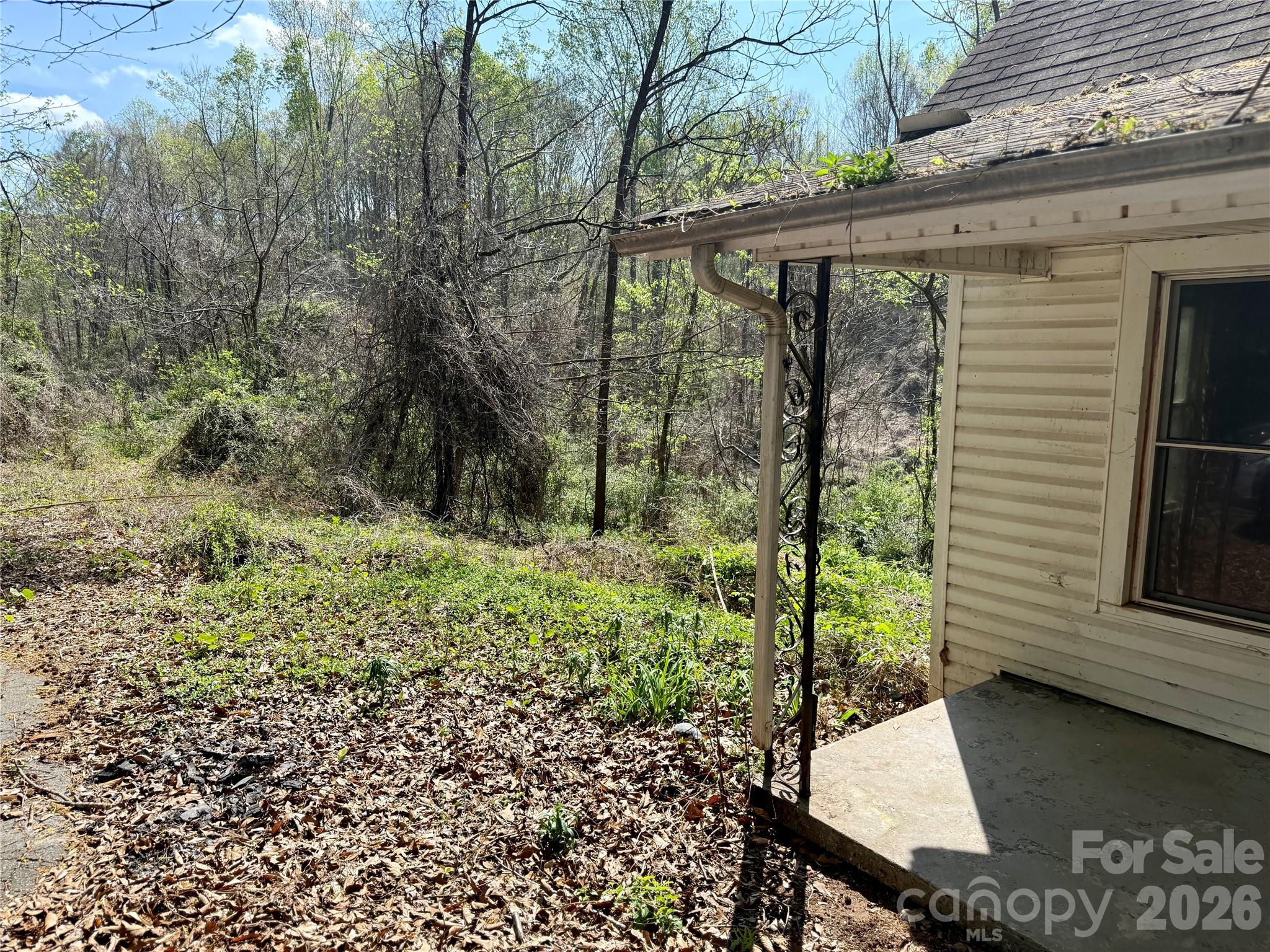 144 Branch Street Property Photo 18