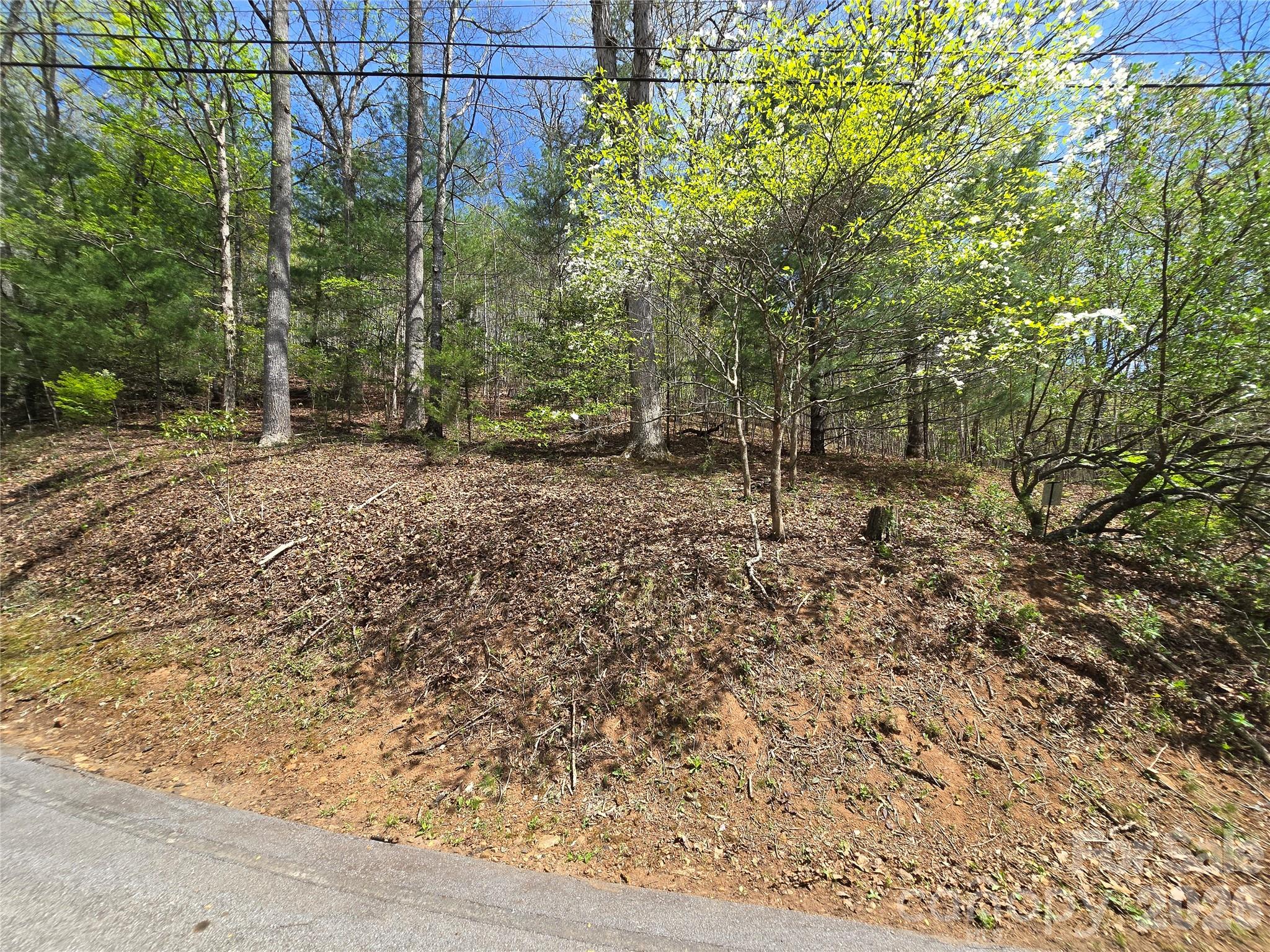 0 Winding Way Drive 32/33 Property Photo 4