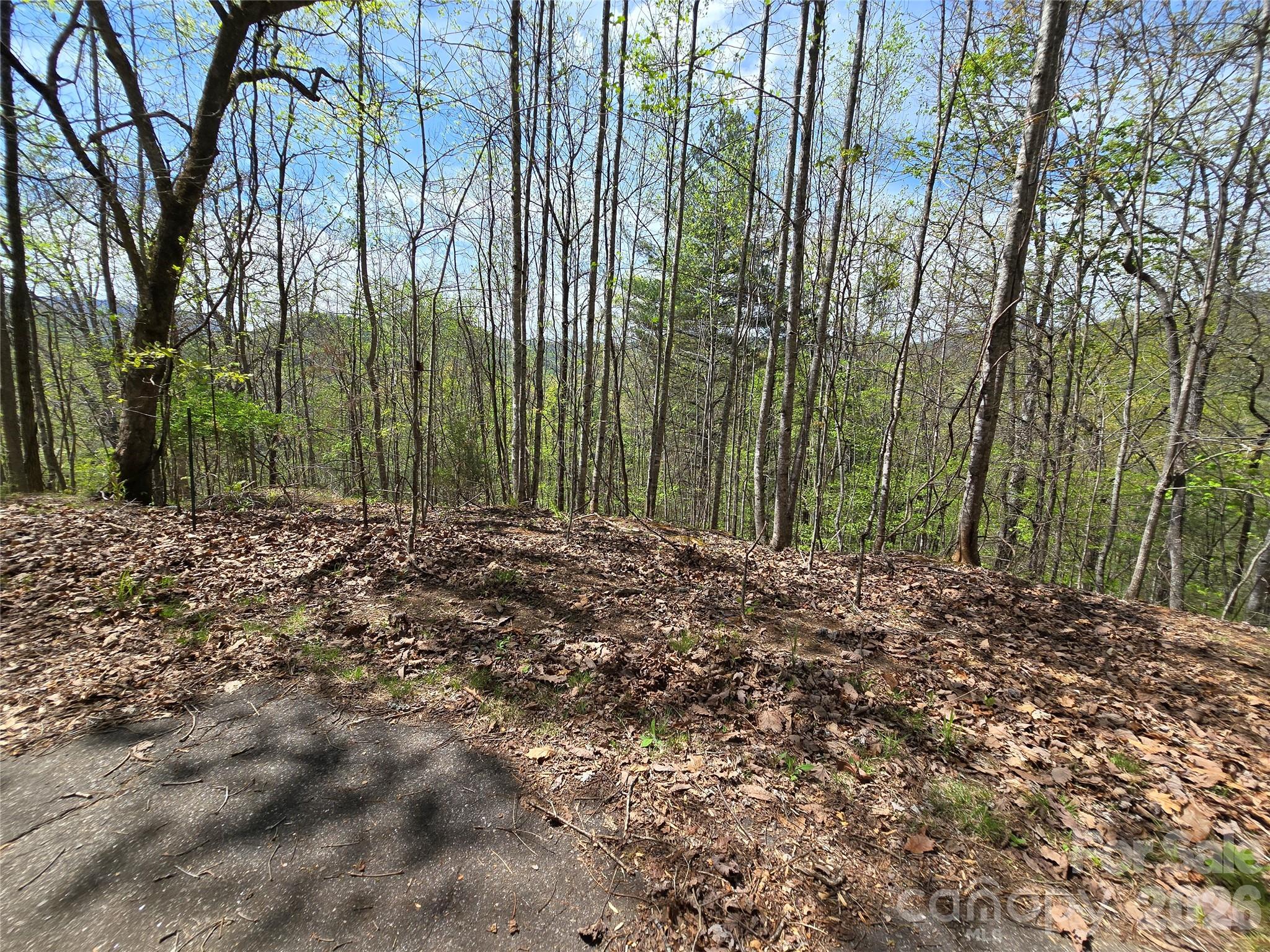 0 Winding Way Drive 32/33 Property Photo 8