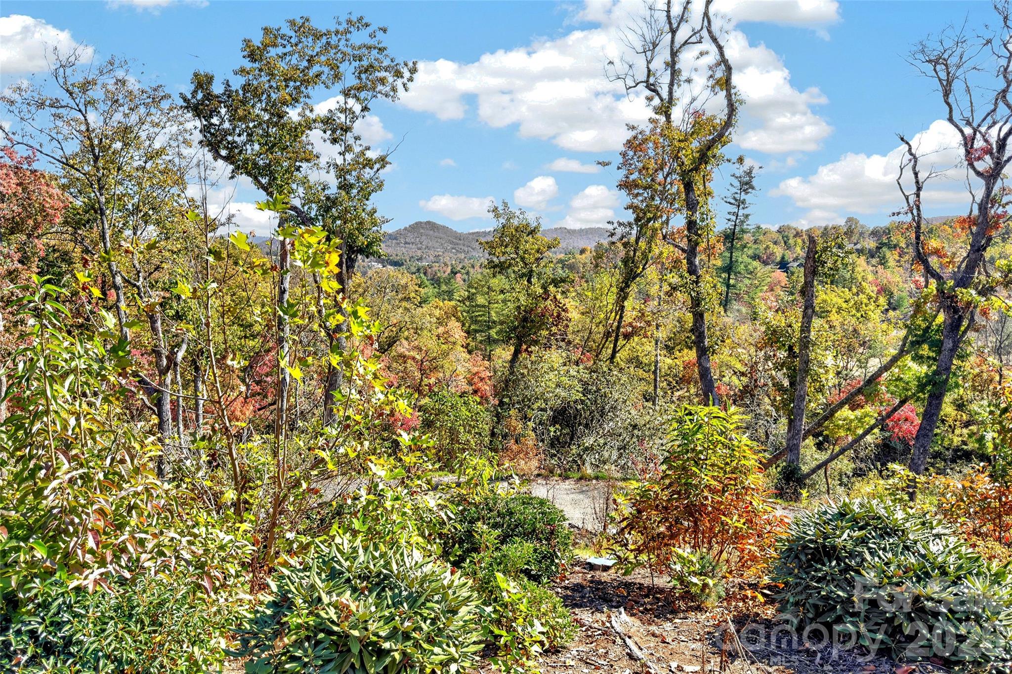 Tbd Swiss Pine Lake Drive 117 Property Photo 3