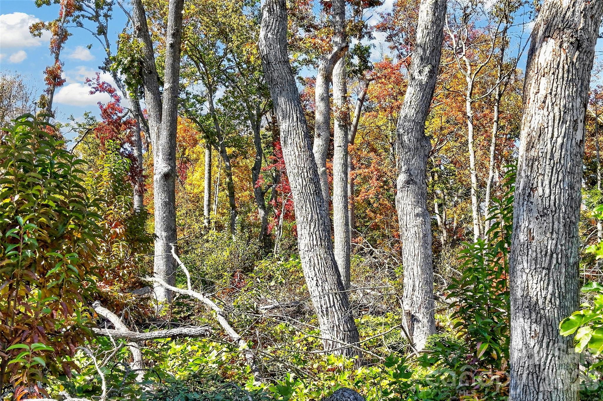 Tbd Swiss Pine Lake Drive 117 Property Photo 4